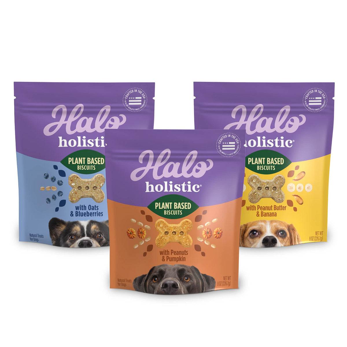 Halo Plant-Based Dog Treats Variety Pack, Oats & Blueberries, Peanut Butter & Banana, Peanuts & Pumpkin, Vegan Dog Treat Pouch, 