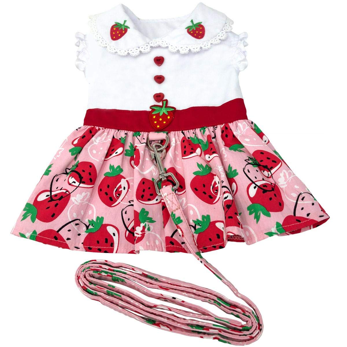 Strawberry Picnic Dog Dress With Matching Leash (Medium)