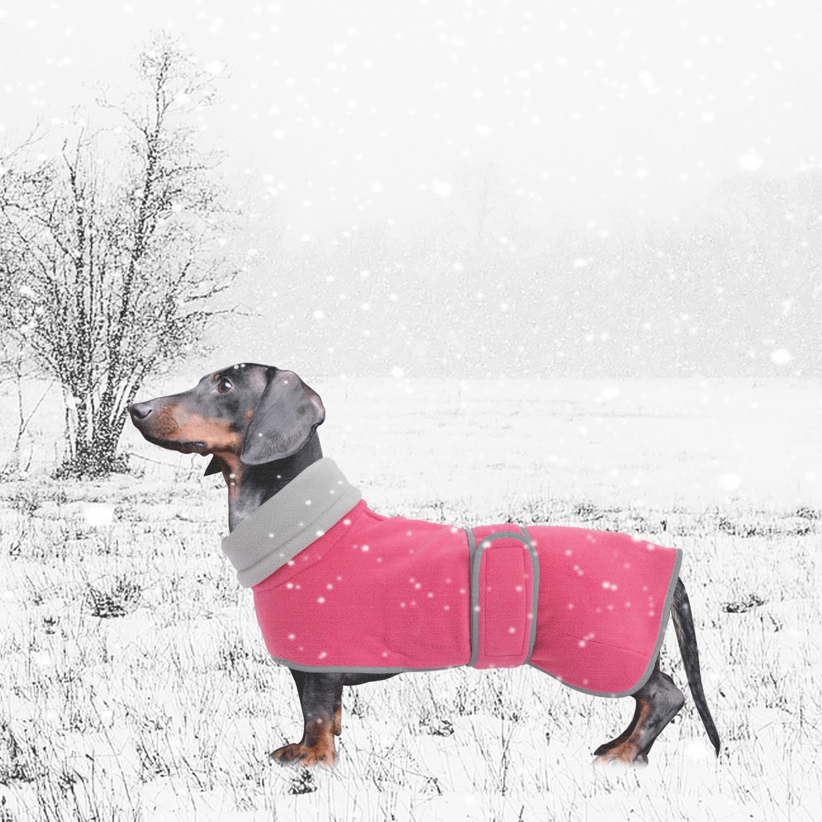 Geyecete Dog Jacket, Dog Coat Perfect For Dachshunds, Dog Winter Coat With Padded Fleece Lining And High Collar, Dog Snowsuit With Adjustable Bands Sizes -Pink-S