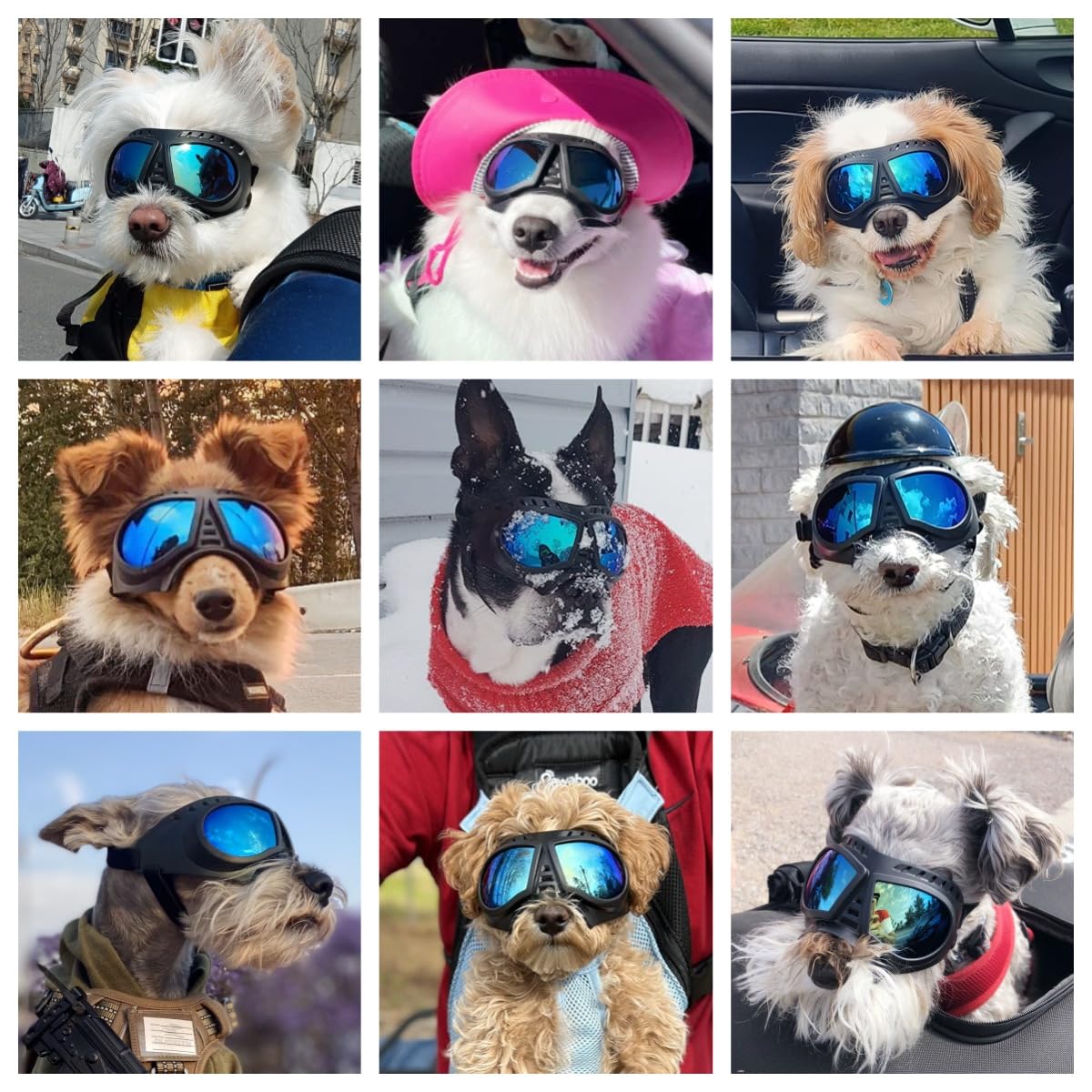 Namsan Dog Goggles For Small Dogs, Wide Nose, Soft Frame, Anti-Uv Tactical Dog Sunglasses Small To Medium Breed, Summer Driving Dog Eye Protection, Winter Snow Eyewear, Adjustable, Blue Lens