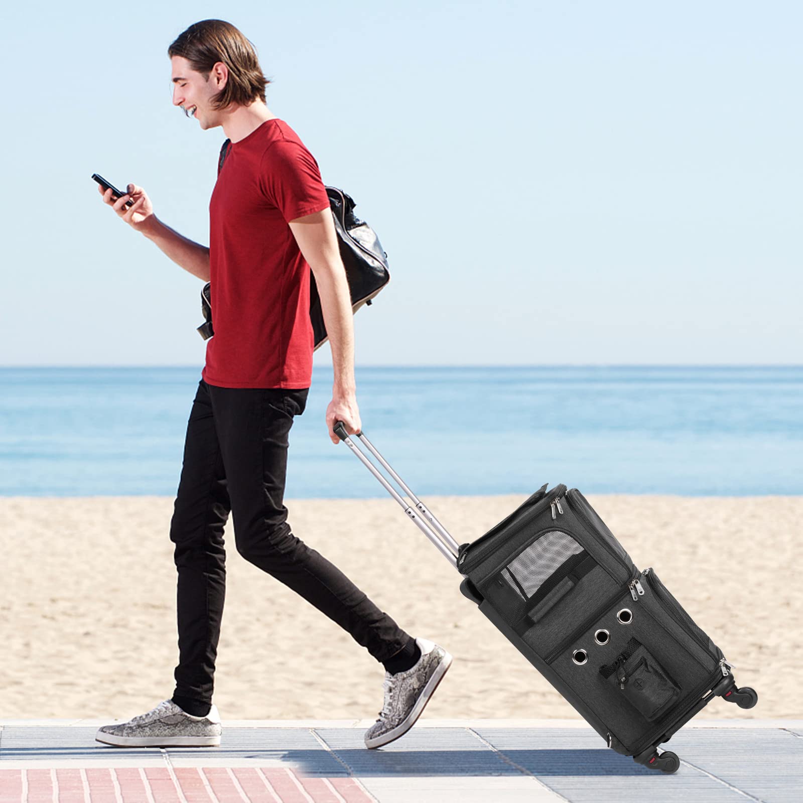 Hovono Double-Compartment Pet Carrier Backpack With Wheels For Small Cats And Dogs, Cat Rolling Carrier For 2 Cats, Perfect For Traveling/Taking A Walk/Trips To The Vet, Black