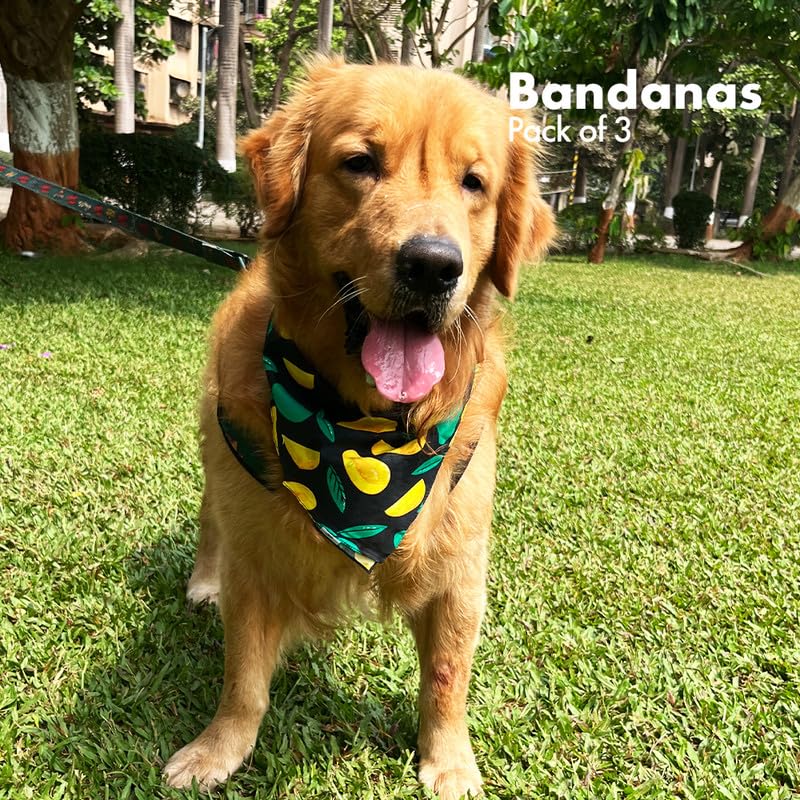 Hexafun 100% Organic Soft Cotton Dog Bandanas| Multicolor & Trendy Printed Bandanas Designs | Soft & Breathable Fabric | Best Fo