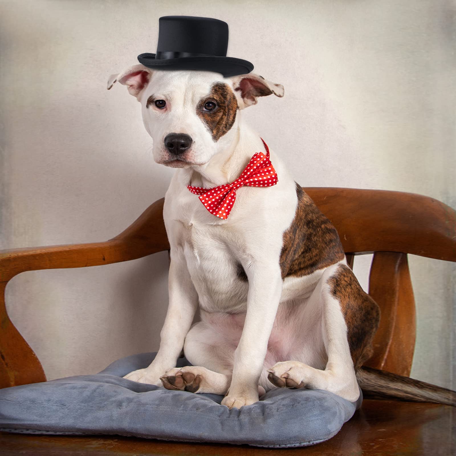 Yewong 2 Pieces Pet Formal Accessories Set - Pet Top Hat With Pet Formal Necktie/Bowtie Birthday Party Gradation Halloween Costumes Accessories For Dog Cat (Red-B) One Size