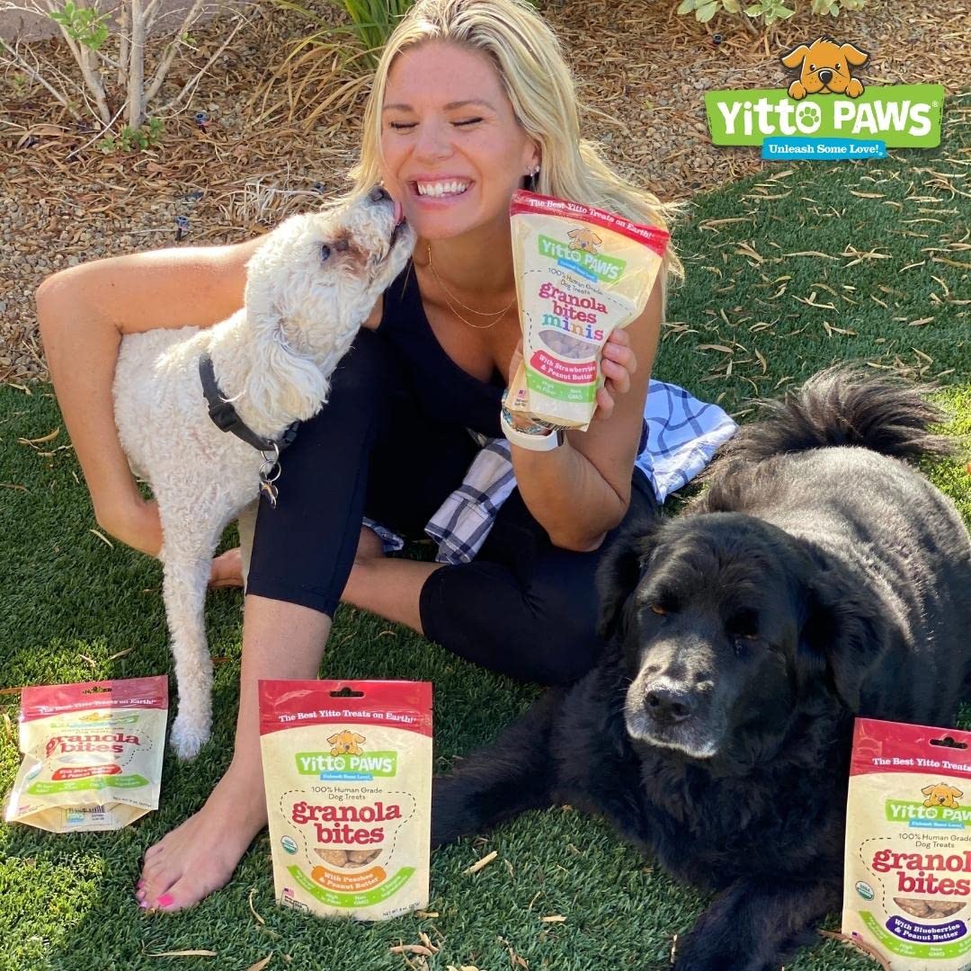 Crunchy Organic Blueberry Dog Treats, Oats & Peanut Butter Healthy Dog Treats, Vegan All Natural Dog Training Treats Made in USA