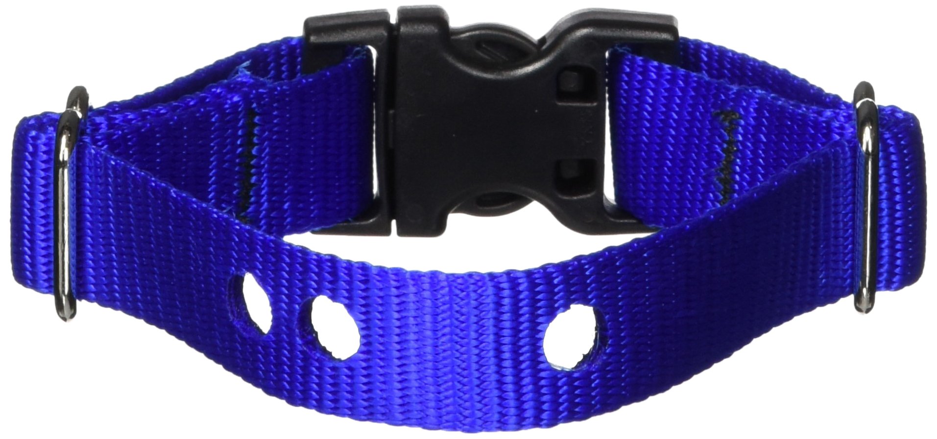 Lupinepet Basics 3/4' Blue 9-12' Containment Collar Strap For Small Dogs
