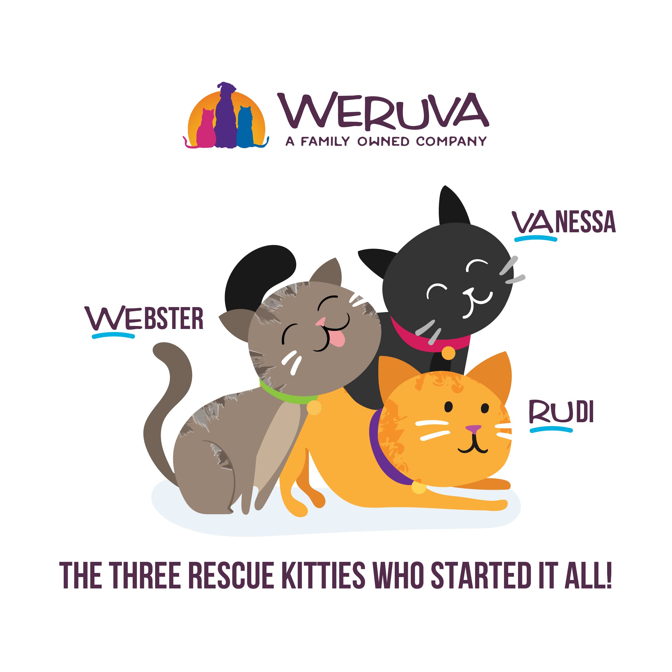 Weruva Kitten, Kitten Can Jam! Variety Pack, 3oz Can (Pack of 12)