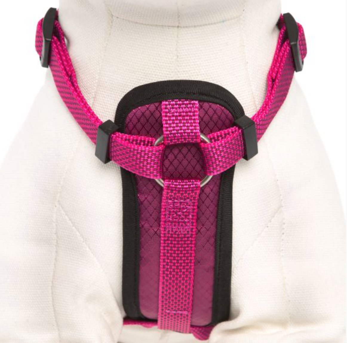 Kong Comfort Padded Chest Plate Dog Harness Offered By Barker Brands Inc(Medium, Pink).