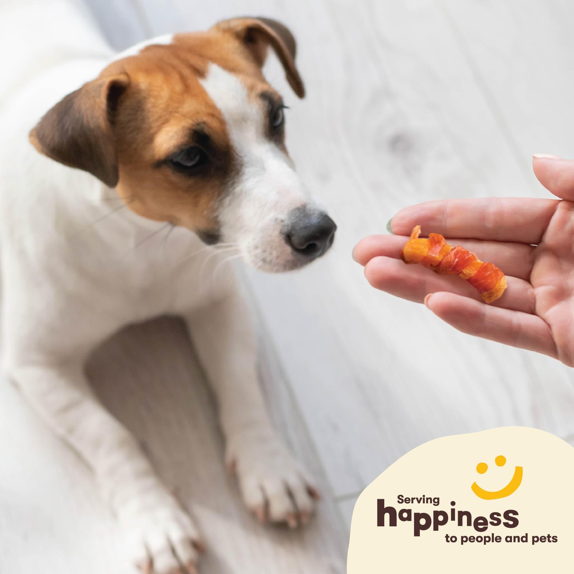 Pet n Shape Sweet Potato Chews - Natural Chicken Wrapped Sweet Potato Dog Treats - 42 Ounce