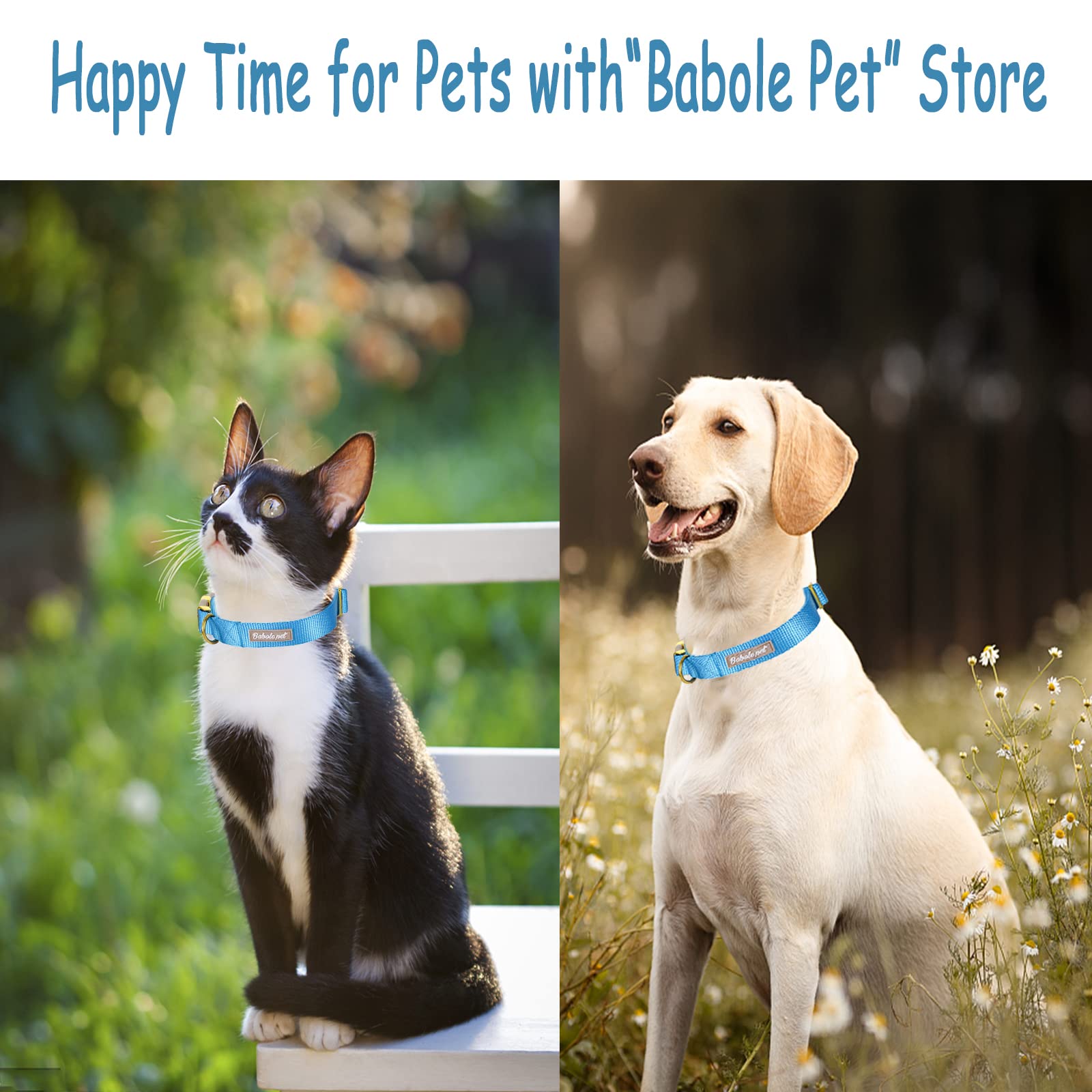 Babole Pet Nylon Dog Collar - Adjustable Blue Soft Webbing Dog Collars For Small Medium Large Dogs Boy Girl Puppy Collar With Sa