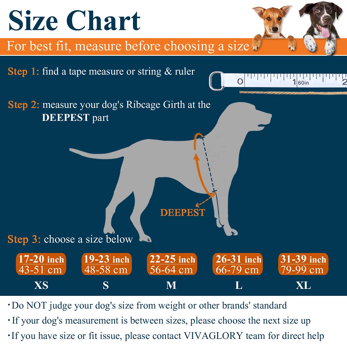 Vivaglory Sports Style Dog Life Jacket With Adjustable & Durable, Extra Flotation Swim Life Vest With Secure Fastening System Fo