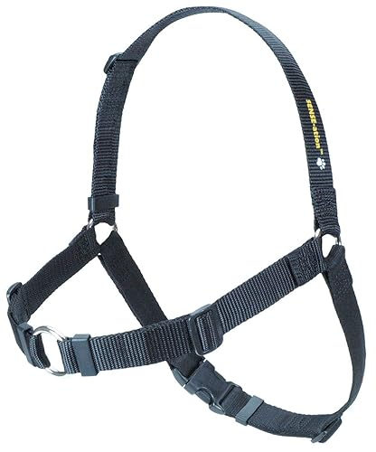 Sense-Ation No-Pull Dog Harness - 3/4' Wide Medium/Large