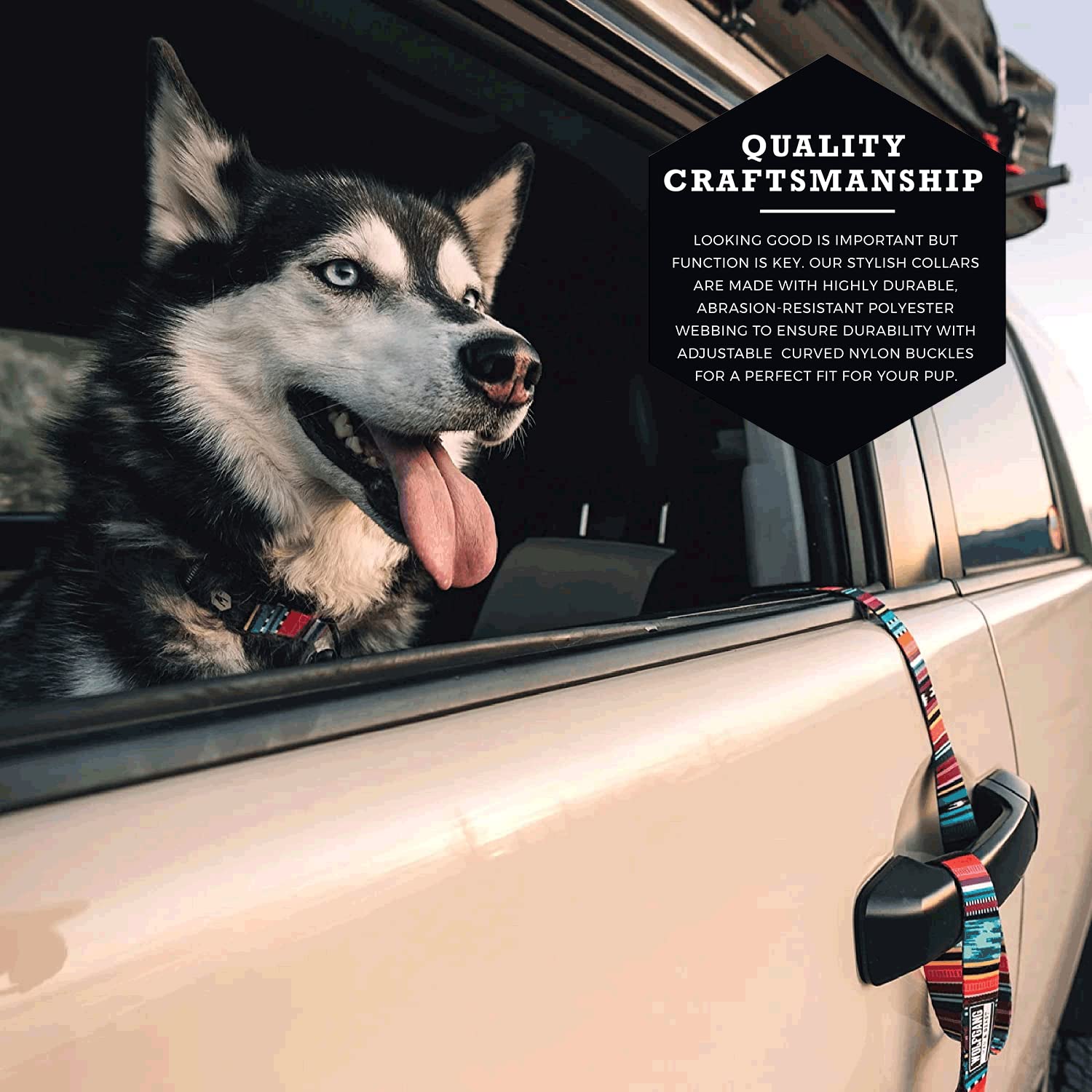 Wolfgang Heavy Duty, Adjustable Dog Collar with Quick Release Nylon Buckle for Walking & Training, Quetzal Print, Large