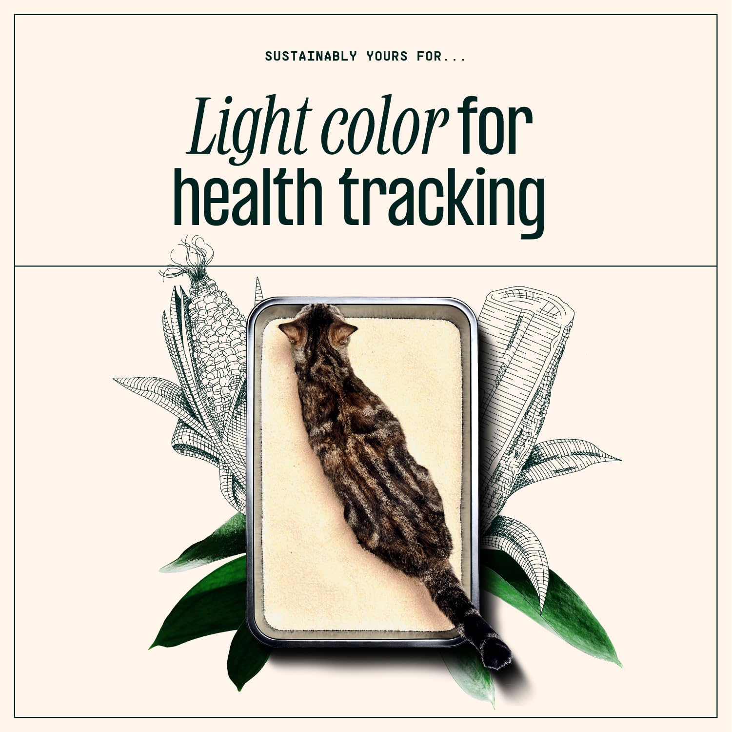 Sustainably Yours Natural Cat Litter, Multi-Cat, 13 Lbs