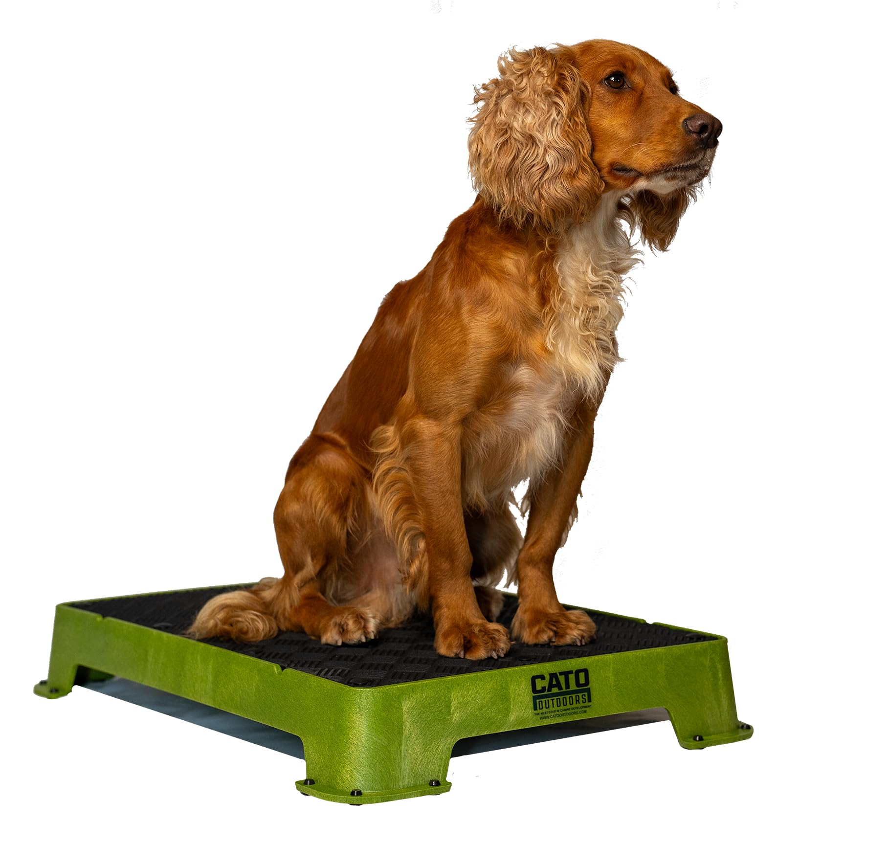 Cato Board - Dog Training Platform - Made In The Usa (Olive Green, Rubber Surface)