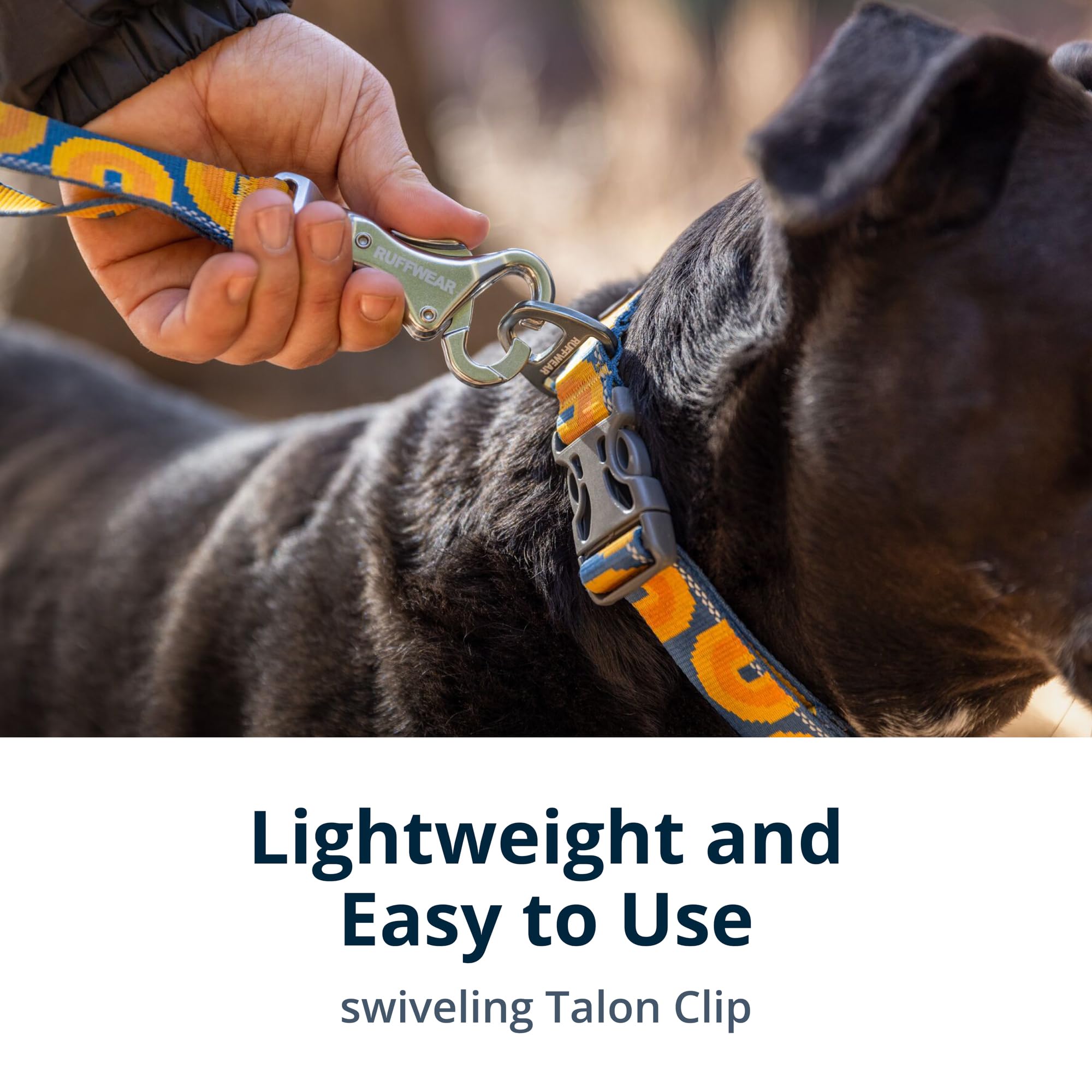 Ruffwear, Crag Dog Leash, Hand-Held Or Waist-Worn Reflective With Traffic Handle, Rising Wave
