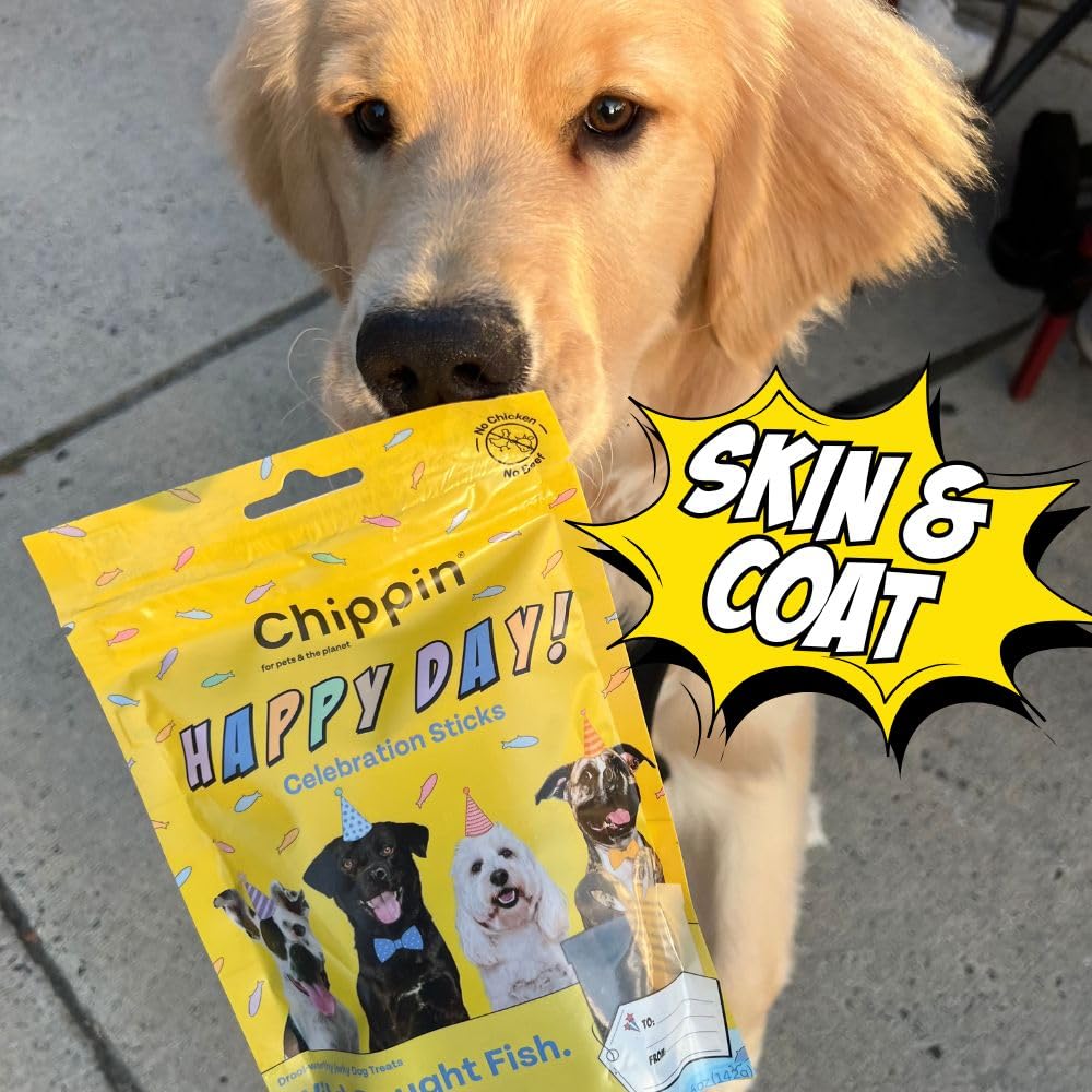 Chippin Giftable Soft Dog Treat | Wild-Caught Fish & Pumpkin Jerky for Dogs | Dog Birthday, Adoption, No Chicken, Grain-Free, Hy