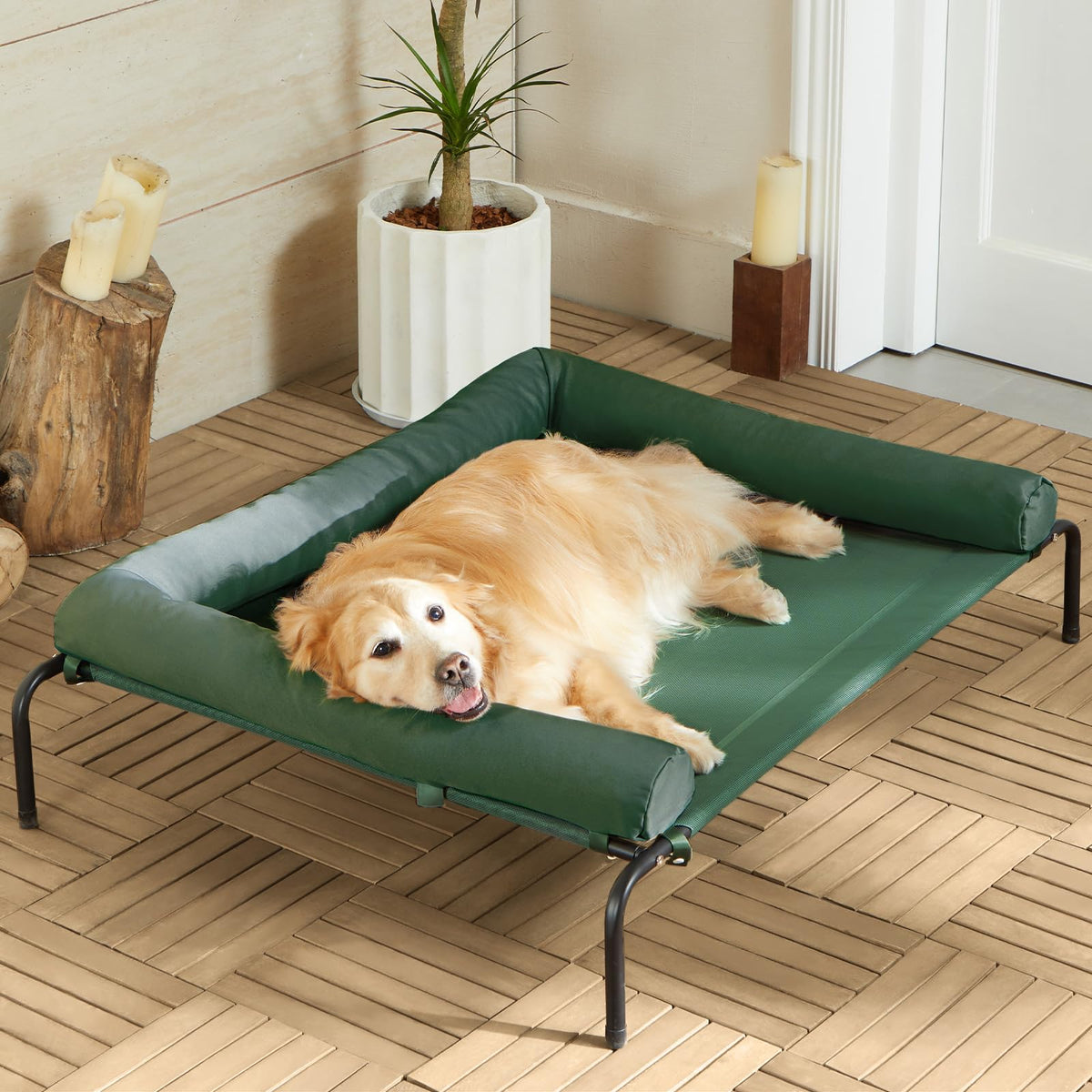 What Is the Purpose of an Elevated Dog Bed for Outdoor Use?