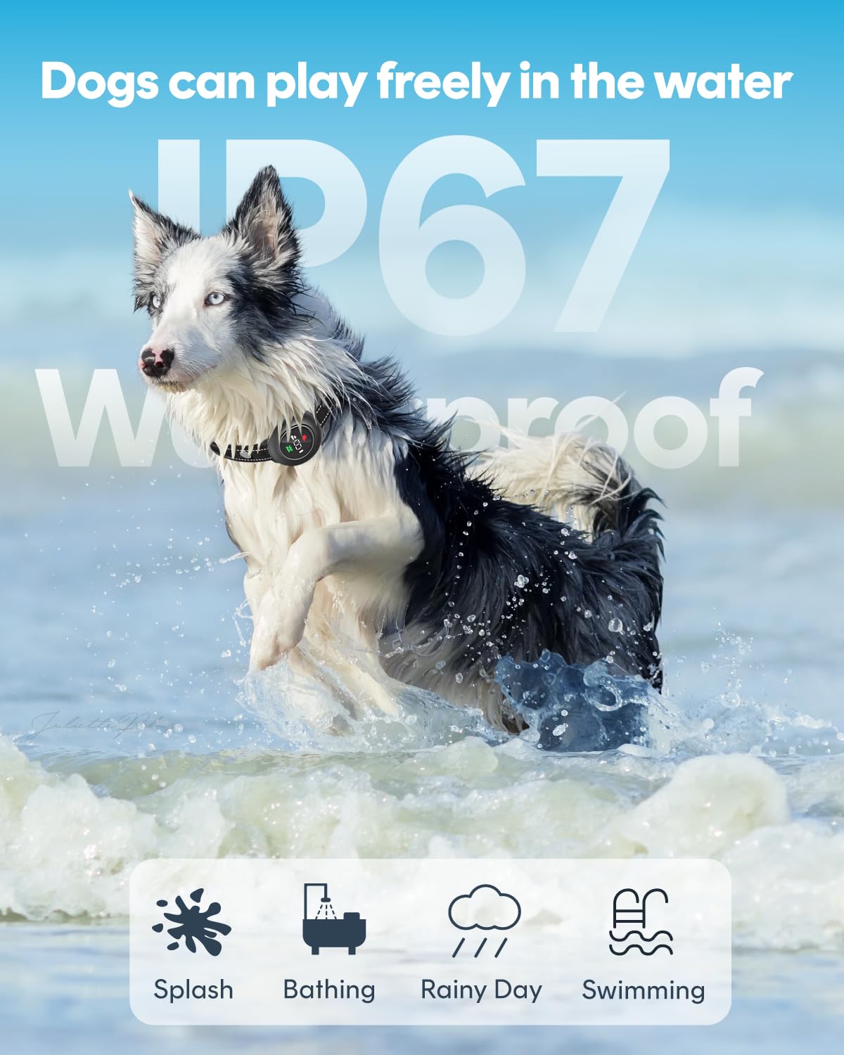 2-In-1 Shock Collar For Dogs, Dog Training Collar - 3300Ft Anti Barking Dog Bark Collar With Remote Control Ip67 Waterproof, 5 A