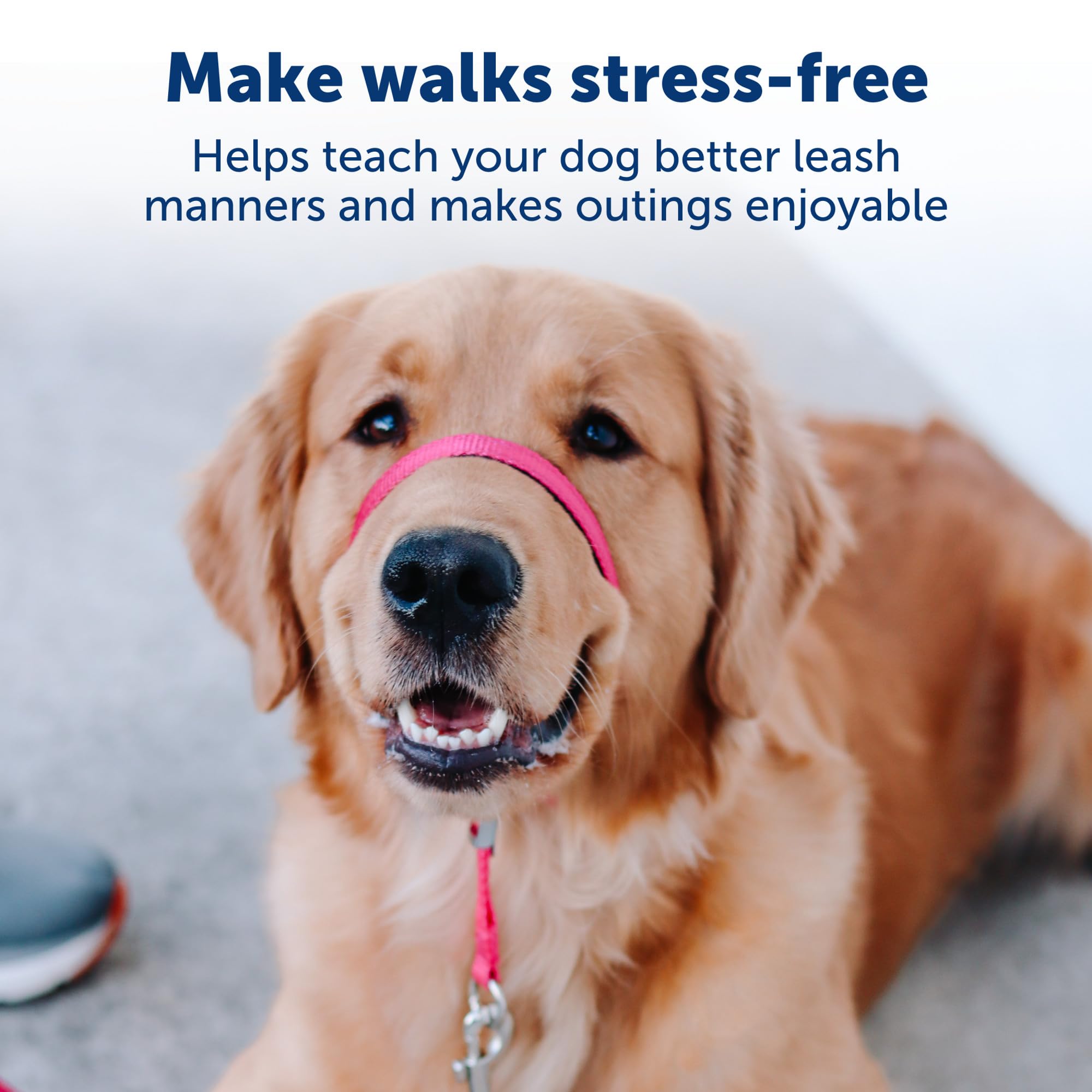 Petsafe Gentle Leader No-Pull Dog Headcollar - The Ultimate Solution To Pulling - Redirects Your Dog'S Pulling For Easier Walks