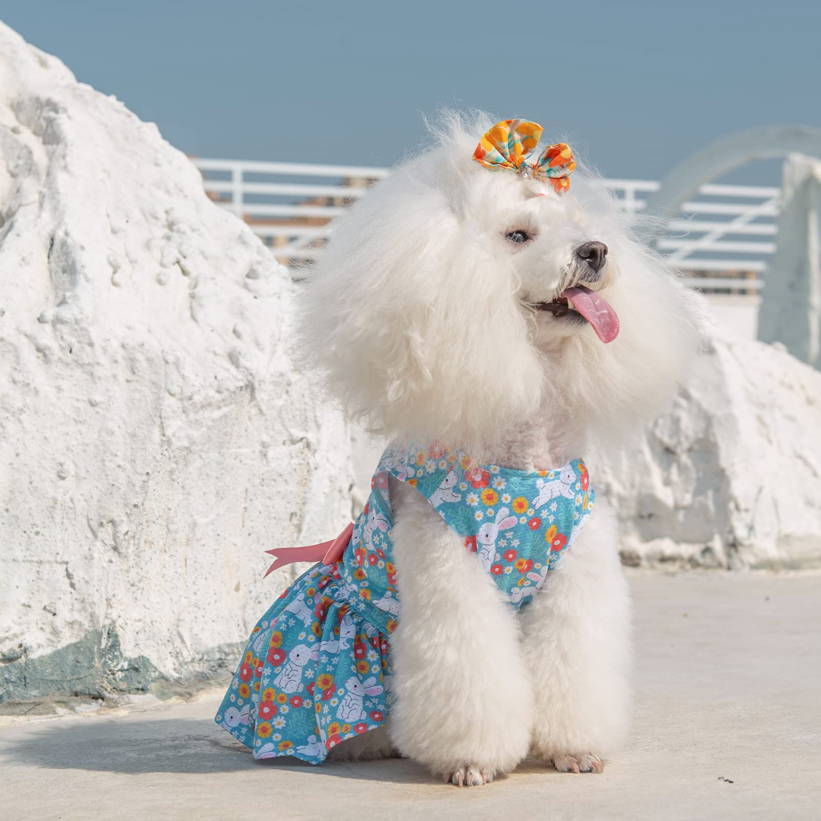 Cutebone Dog Easter Dress Puppy Sundress Pet Outfit Summer Fashion For Small Dogs Girl Cat Clothes Bf08S