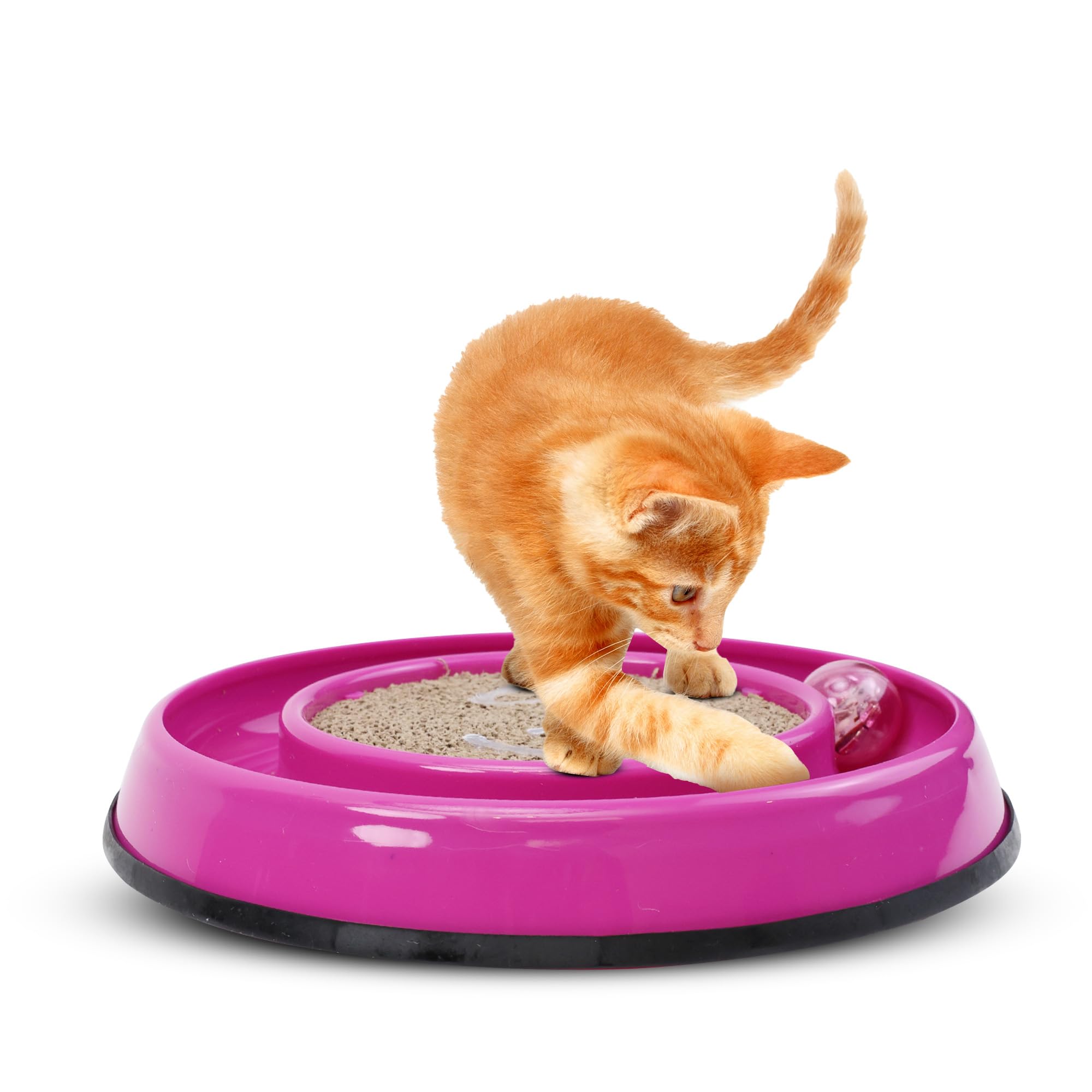 SPOT Rockin' Cat Scratcher Toy- Interactive Cat and Kitten Toy with LED Light Up Ball, Wobble Action, Corrugated 5 Inch Scratchi