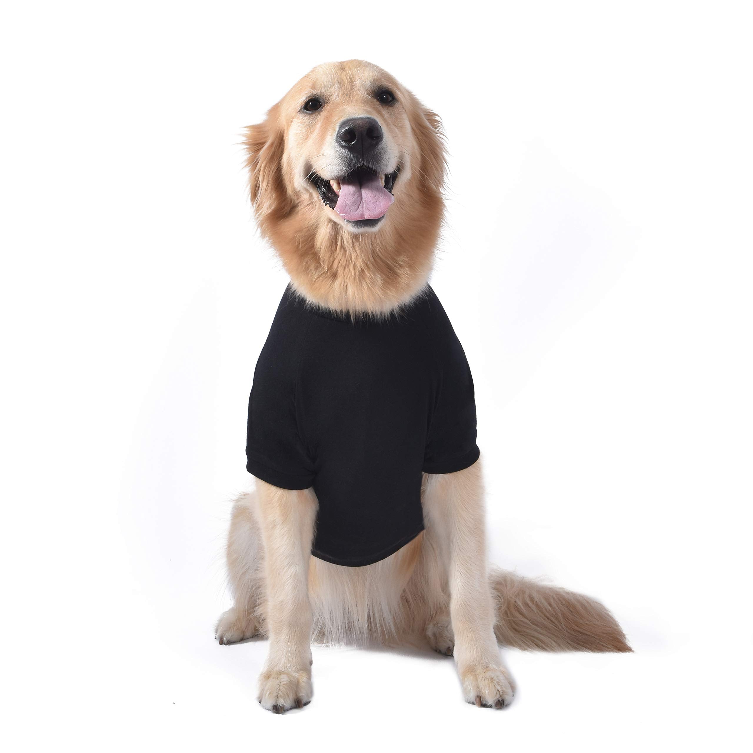 Star Wars For Pets Galaxy Far, Far Away Dog Tee - Black Star Wars Dog T-Shirt - Soft Dog Shirt, Large - Cute And Adorable Dog Cl