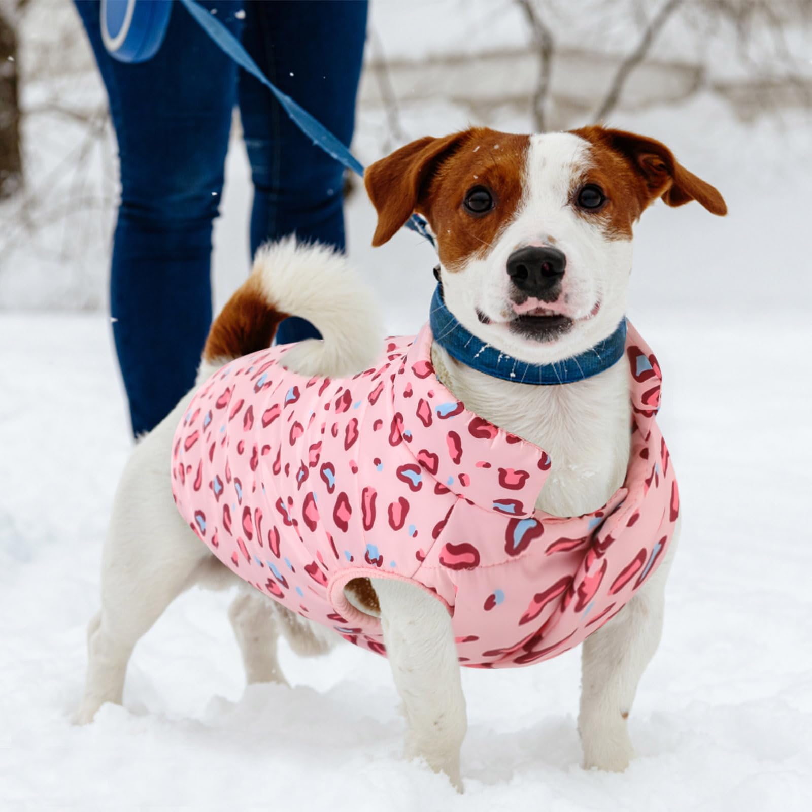 Asenku Windproof Winter Coat - Waterproof Jacket, Warm Vest For Dogs - Cold Weather Pet Apparel With 2 Layers Fleece Lined For S