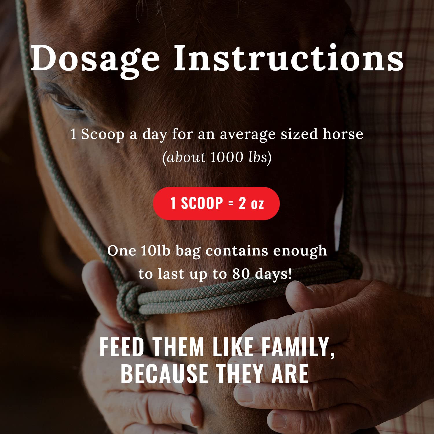 Mojo Joint Horse Supplements, Equine Pelleted Supplement, All Natural Joint Care Supplement for Horses, 10 lbs