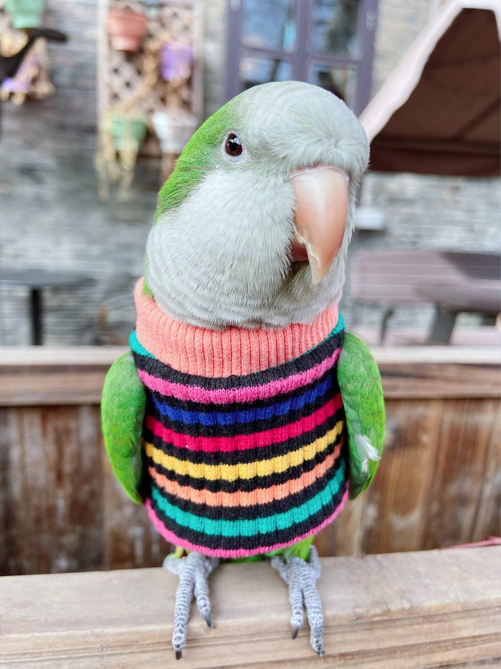 Hezhuo Parrot Bird Supplies, Light Flying Clothes, Warm And Comfortable, Tiger Skin, Green Cheek Parrot, Little Sun Parrot, Monk Parrot, Starling, Mynah, Senegal Parrot, Mini Macaw Sweater (S)