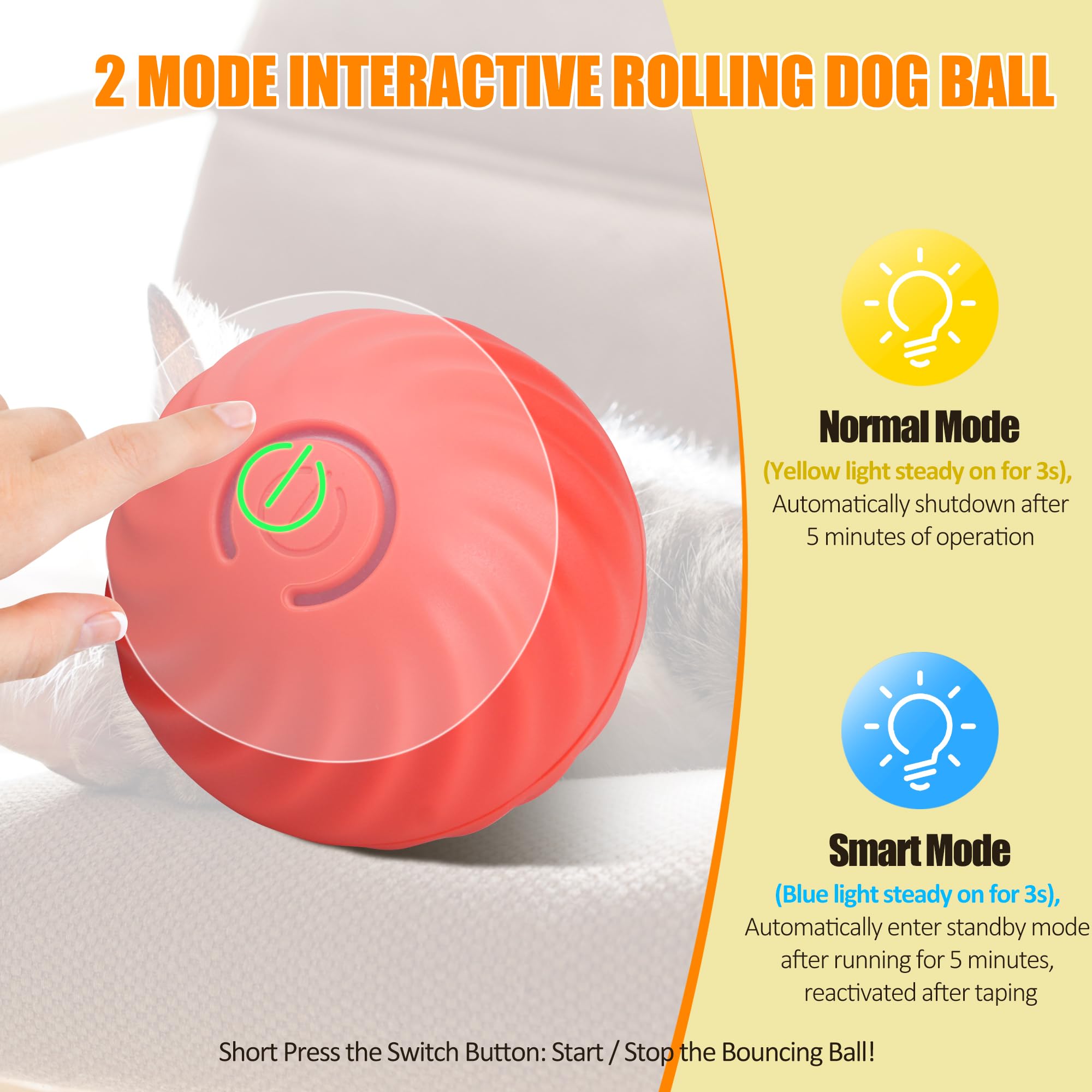 PLITTPETTS Interactive Cat Toys for Indoor Cats, Automatic Moving Cat Ball in Pouch, Self-Rolling Ball Hide and Seek Catching Ga
