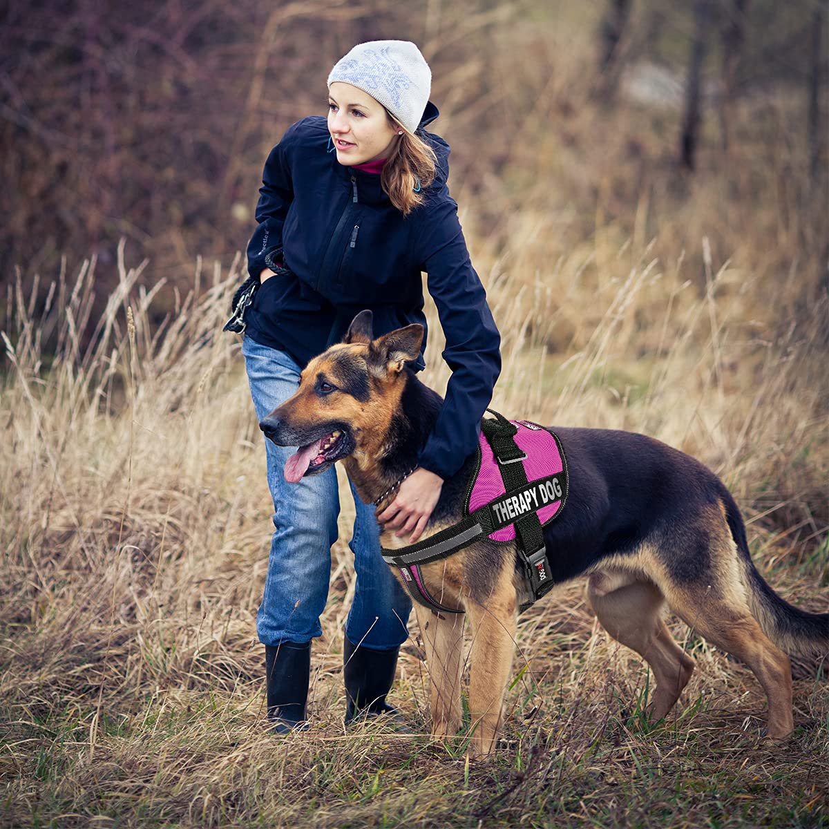 Dogline Vest Harness For Dogs And 2 Removable Therapy Dog Patches, X-Large/36 To 46', Pink