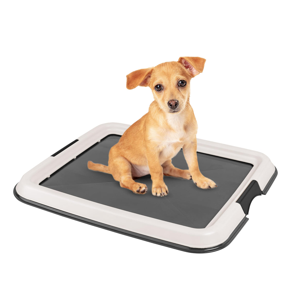 Iris Usa Pee Pad Holder, Small Puppy Pad Holder, Secured Latches, Non-Skid Rubber Feet, High Polish Finish For Easy Cleaning, Le