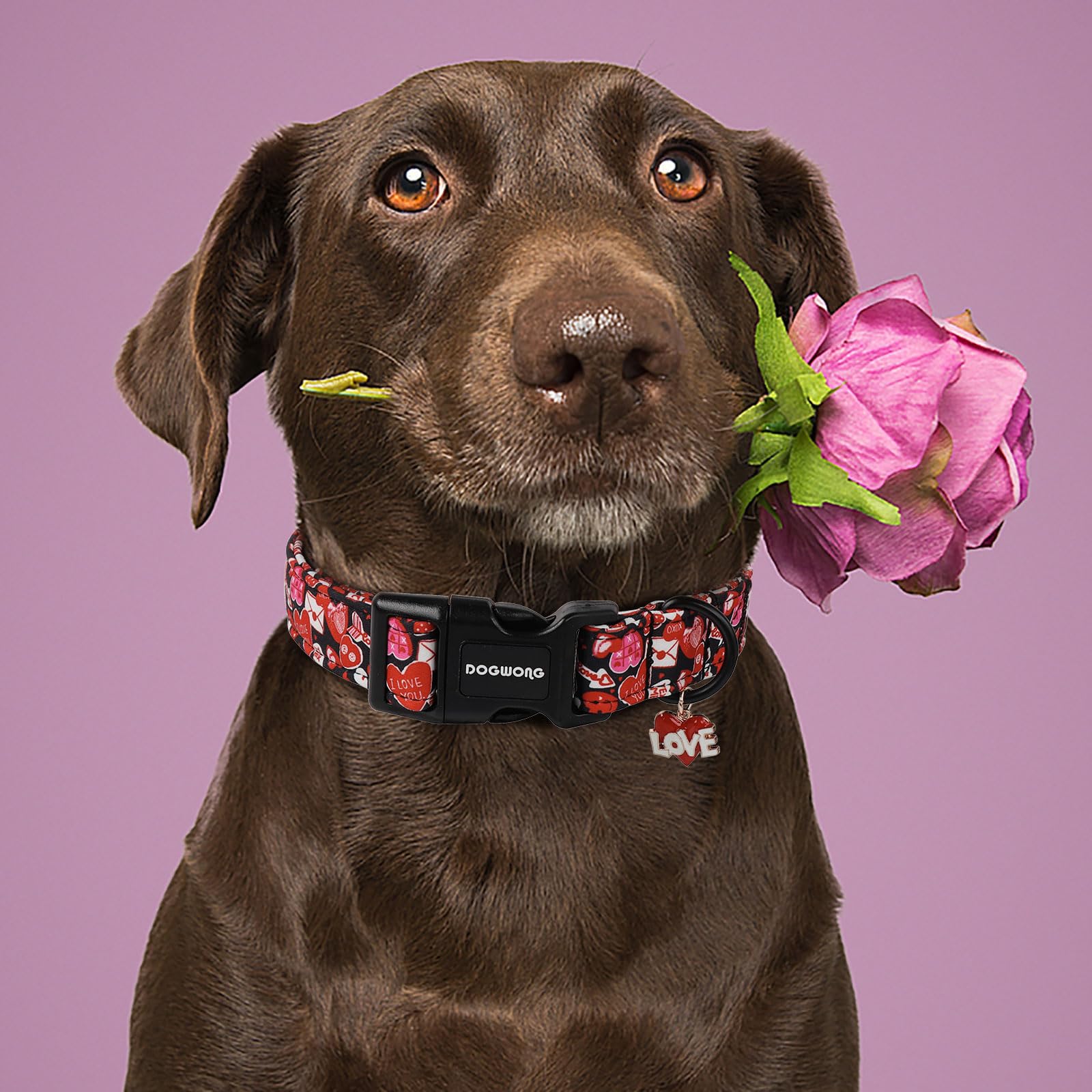 Dogwong Valentine Dog Collar- Cute Red Heart Dog Collars Adjustable Durable Designer Valentines Day Dog Collar For Small Medium