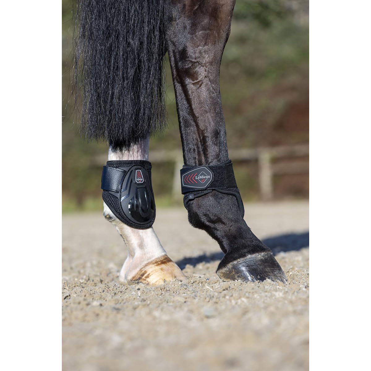 LeMieux Derby Fetlock Horse Boots - Protective Gear and Training Equipment - Equine Boots, Wraps & Accessories - Black - Large