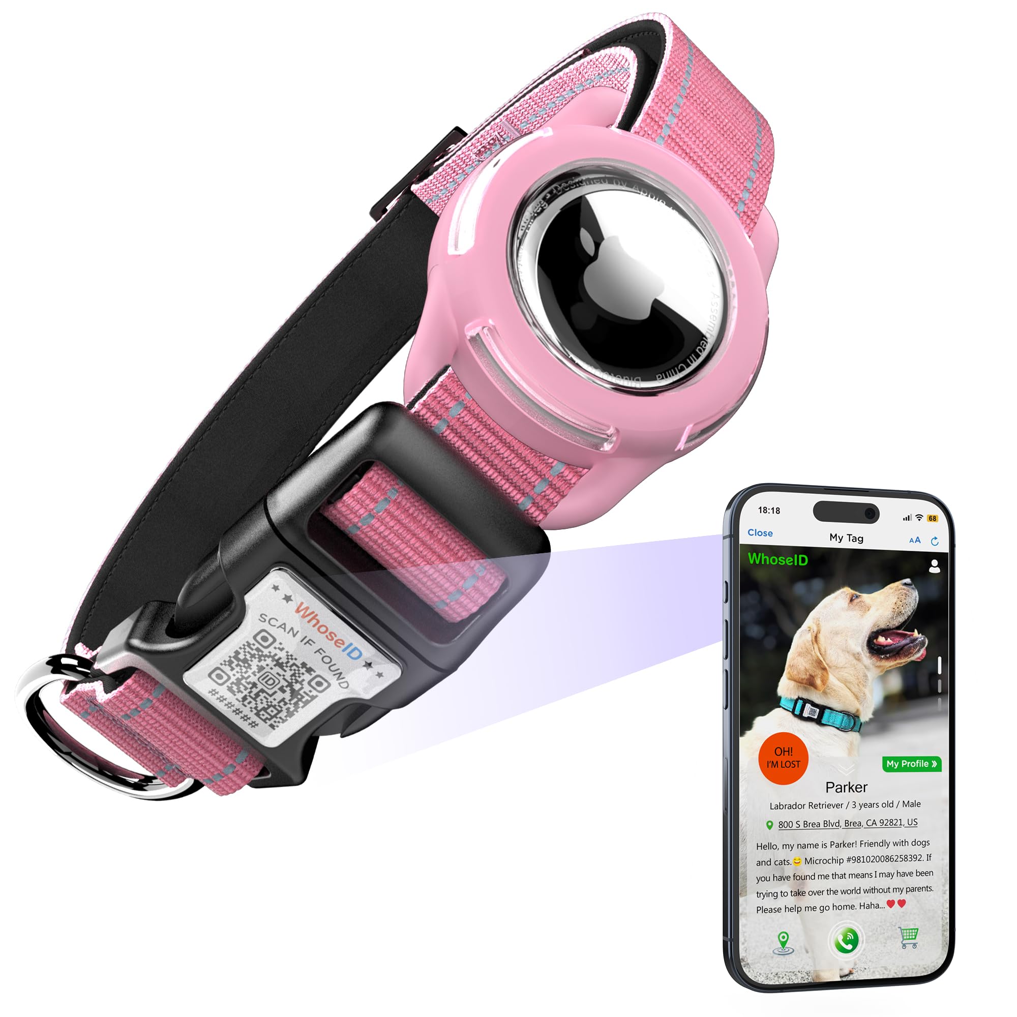 Airtag Dog Collar With Qr Code, Reflective, Soft Padded & Safety Locking Buckle, Adjustable For Small Dogs (S-With Airtag Holder