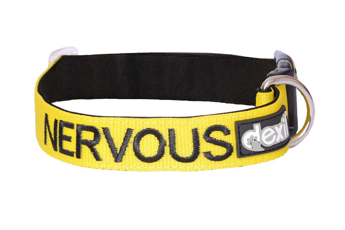 Nervous (Give Me Space) Yellow Colour Coded S-M L-Xl Dog Collars Prevents Accidents By Warning Others Of Your Dog In Advance (L-Xl)