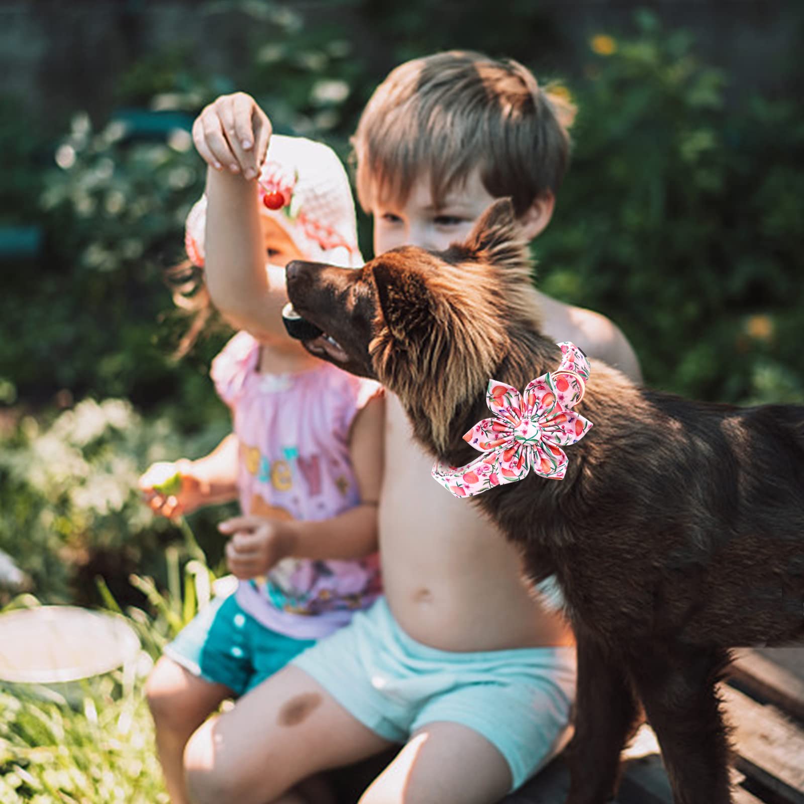Lionheart Glory Pink Peach Dog Collar with Flower Bow for Small Dogs