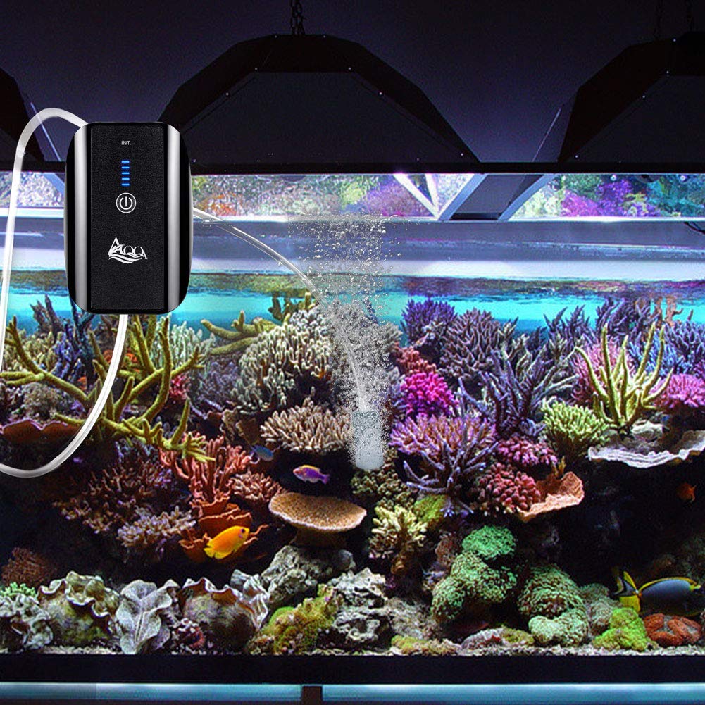 Aqqa Aquarium Air Pump, Battery Rechargeable Portable Bubbles Oxygen Pump For Fresh & Saltwater Aquariums Tanks With Air Stone, Tube, Usb Cable And Adapter (1.7 W For 1-100Gal Tank)