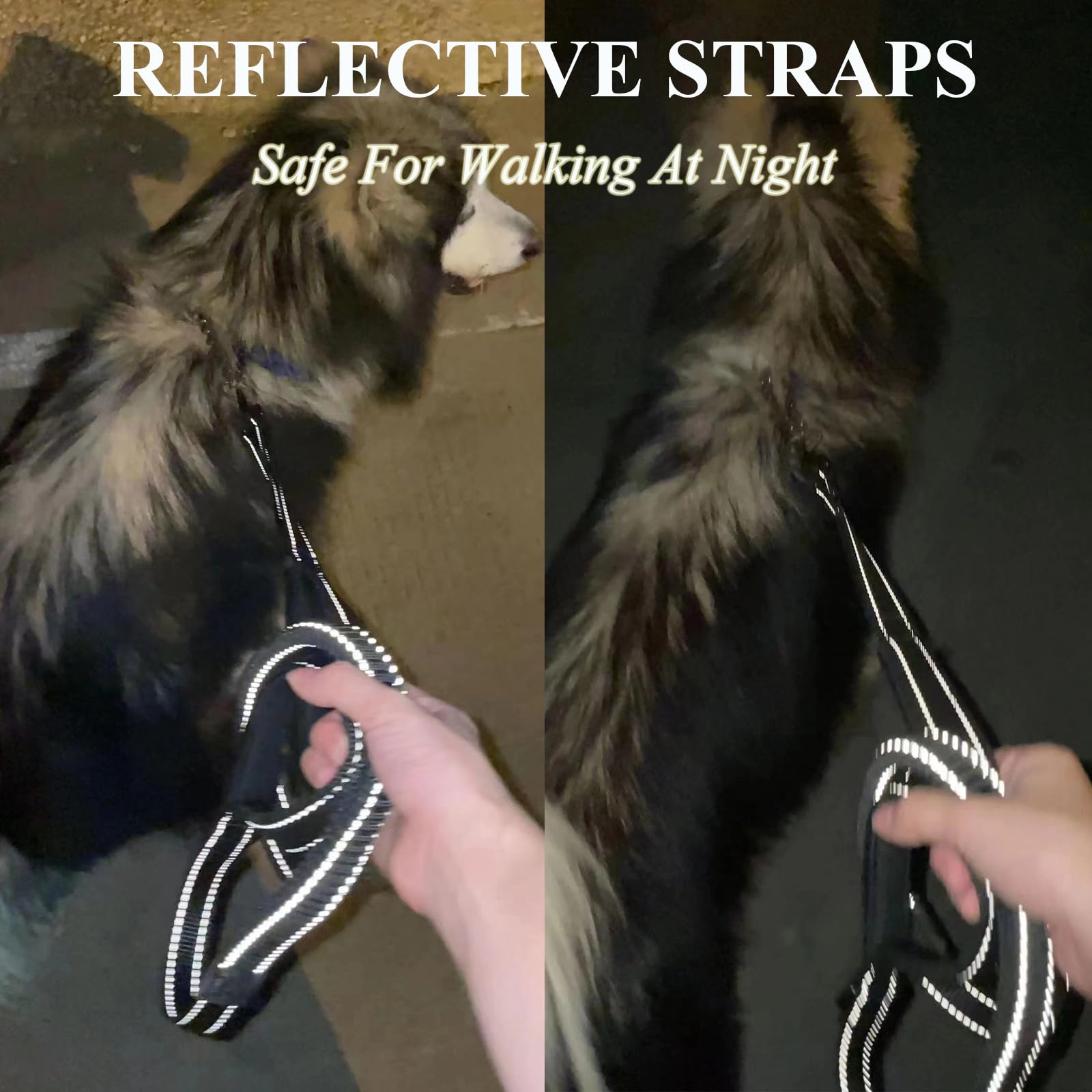 Eco-Clean Dog Leash, 6 Ft Bungee Dog Training Leash, Reflective Dog Leash For Medium Large Dogs, Shock Absorbing Retractable Str