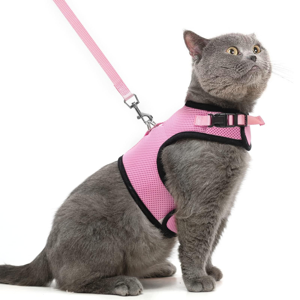 Pupteck Soft Mesh Cat Vest Harness And Leash Set Puppy Padded Pet Harnesses Escape Proof For Cats Small Dogs, Pink Large