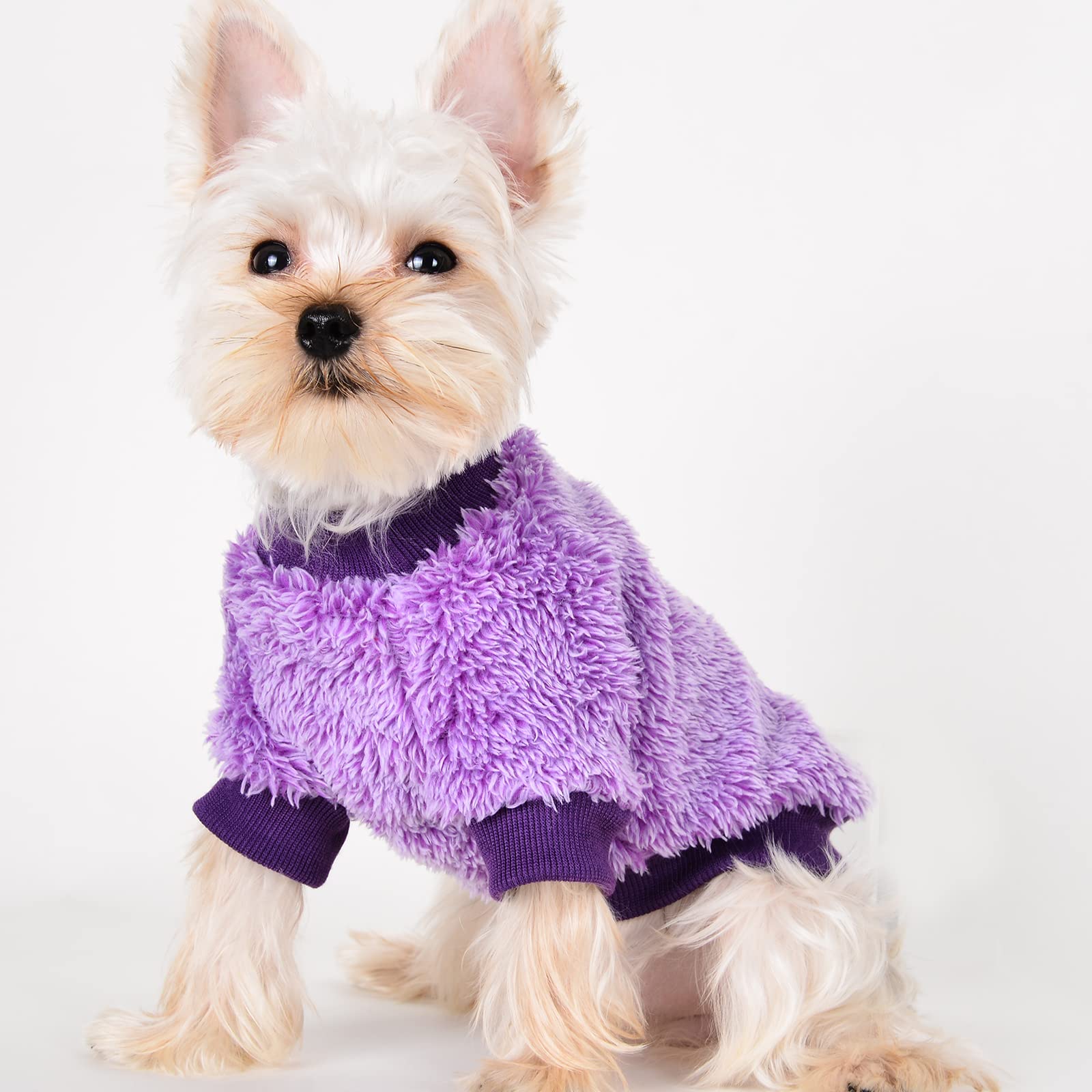 Fluffy Dog Sweater Winter Puppy Clothes For Small Dogs Girl Boy Chihuahua Yorkies Bulldog Pet Outfits Female Male Outfits Clothing Apparel,Medium,Purple