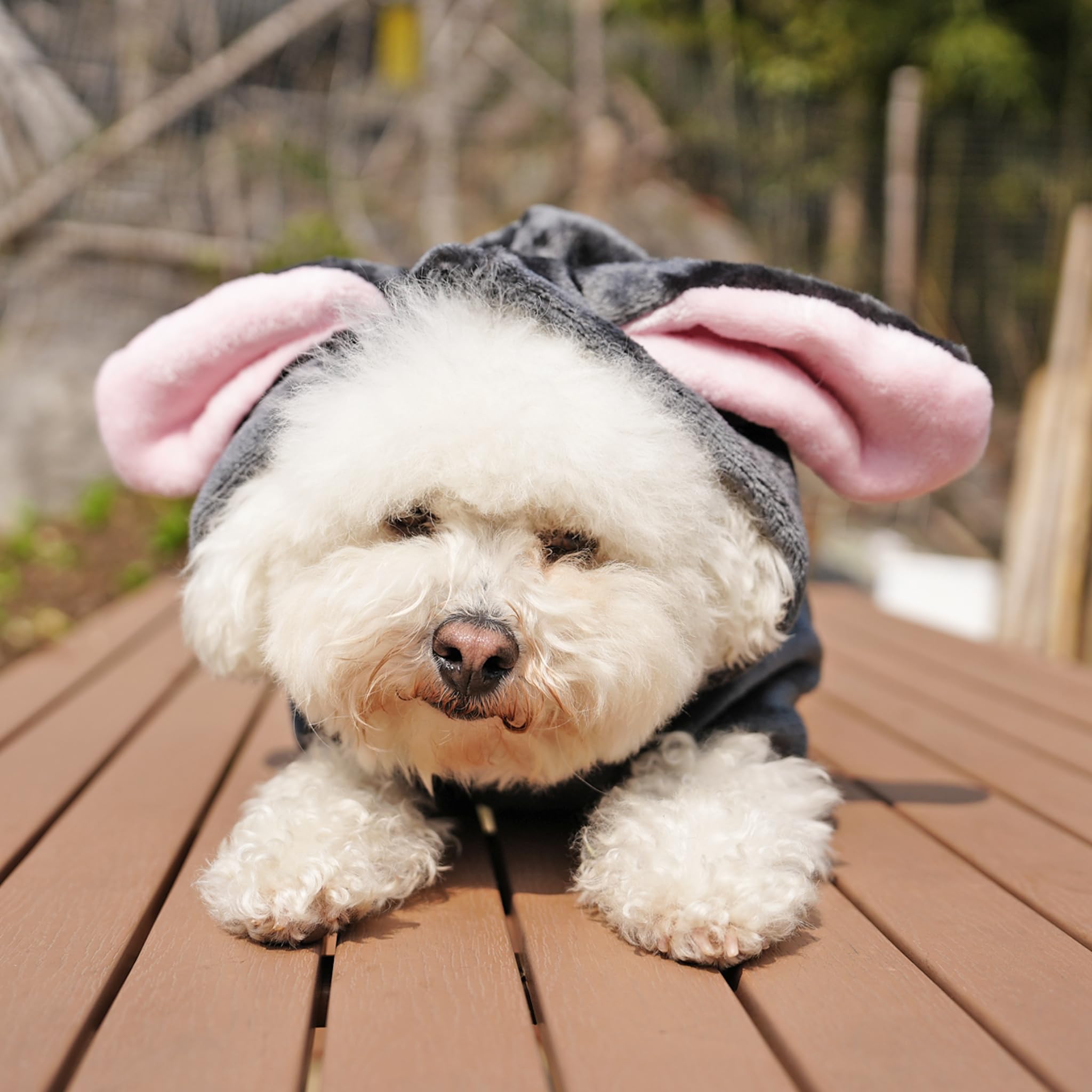 Cheertails Dog Sweaters For Small Medium Dogs Girl Boy, Cute Bunny Dog Costumes For Small Medium Dogs, Fleece Dog Winter Coats W