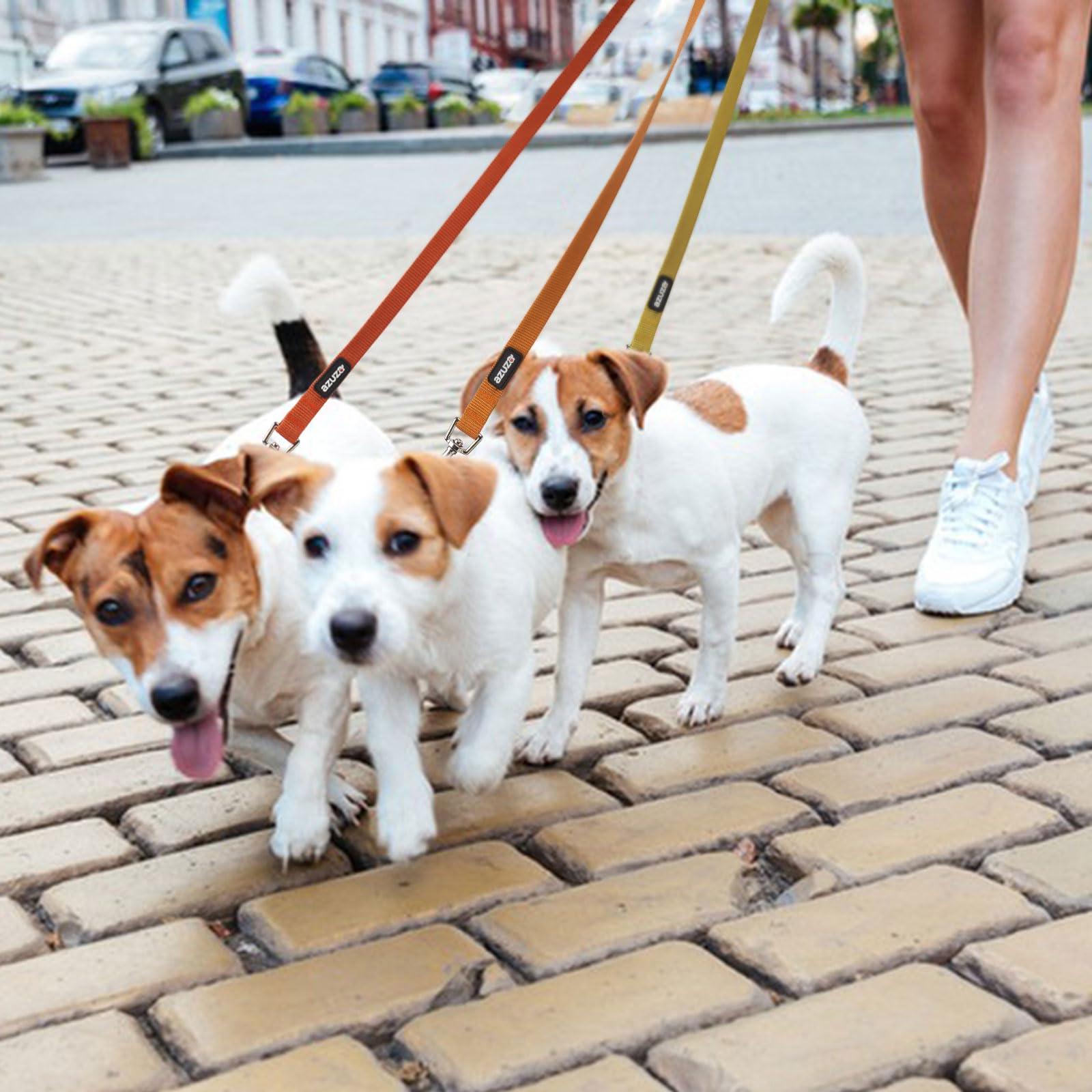 Azuza 3 Pack Fall Nylon Dog Leashes Strong & Durable Basic Dog Leash With Easy To Use Collar Hook For Small Dogs, S (6Ft,5/8'')