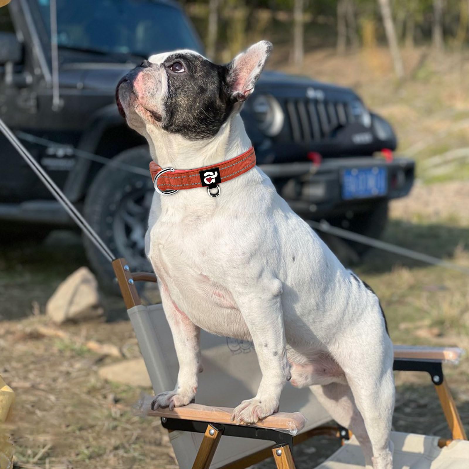 Azuza Reflective Dog Collar, Soft Neoprene Padded Pet Collar With Id Tag Ring, Adjustable For Medium Dogs,Rust Red,M