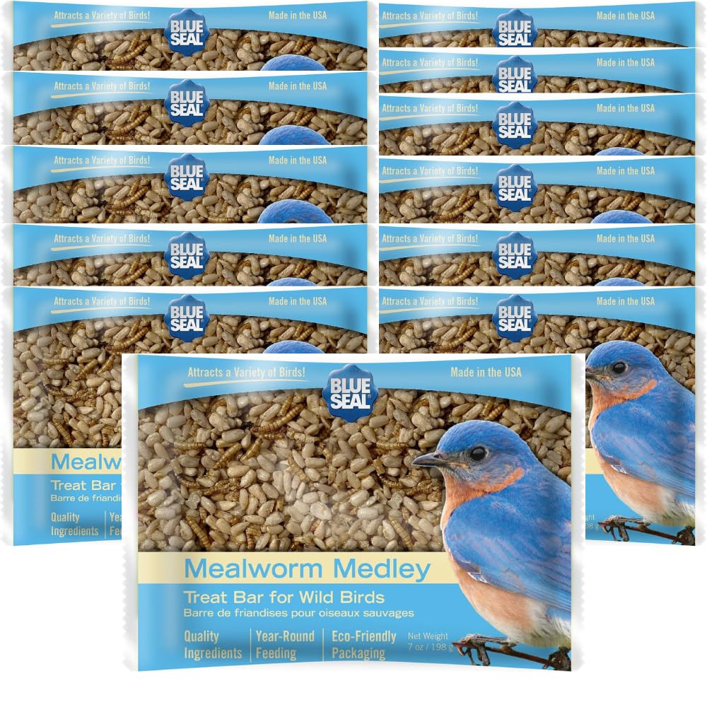 Blue Seal Mealworm Medley Suet Treat Bars for Wild Birds - No Mess Suet Feed for Woodpeckers, Cardinals, Siskins, Sparrows & Mor