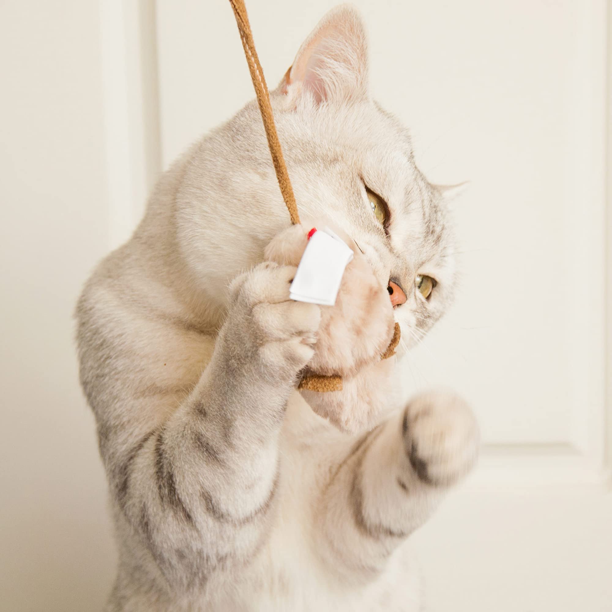 Gigwi Cat Toys For Indoor Cats, Interactive Cat Toy With Real Squeaky Mouse Electronic Sound Chirping, Kitten Toys Automatic Cat