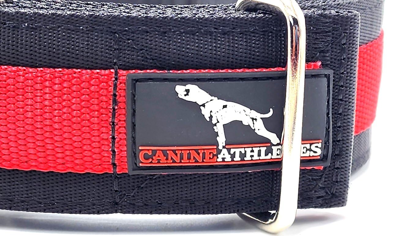 Canine Athletes 2'' Wide Elite Max V2 Neoprene Padded Thick Working Dog Collar For Strong Dogs (Small)