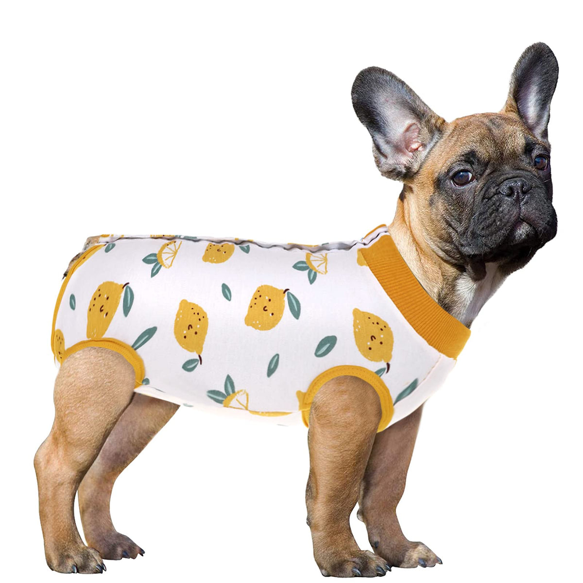 Sawmong Recovery Suit For Dog, Dog Recovery Shirt For Abdominal Wounds, Pet Surgery Surgical Recovery Snugly Suit, Prevent Licking Dog Bodysuit, Substitute E-Collar & Cone(Xxl,Lemon Yellow)