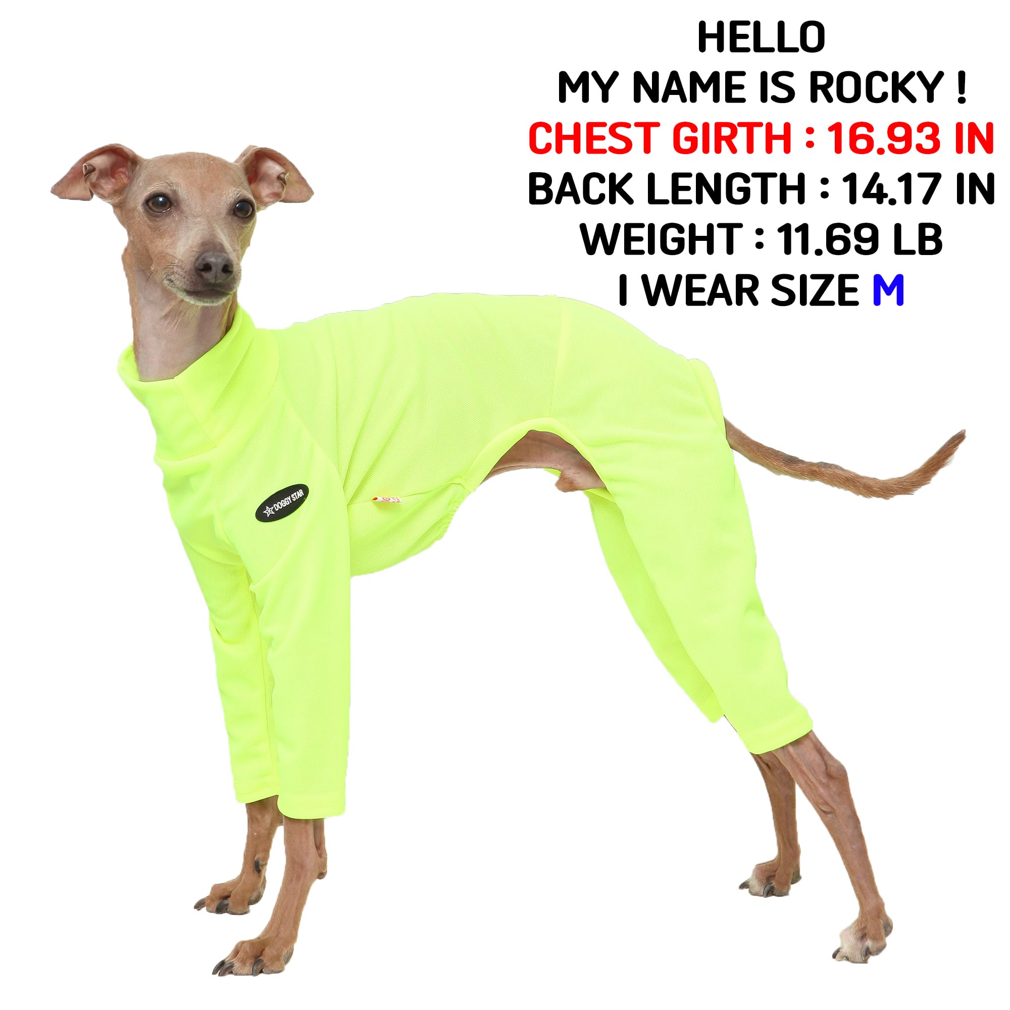 D Doggy Star Italian Greyhound Clothes Strechy Neon Onsie Spring Summer (2Xl,Onsi Ne Yellow)