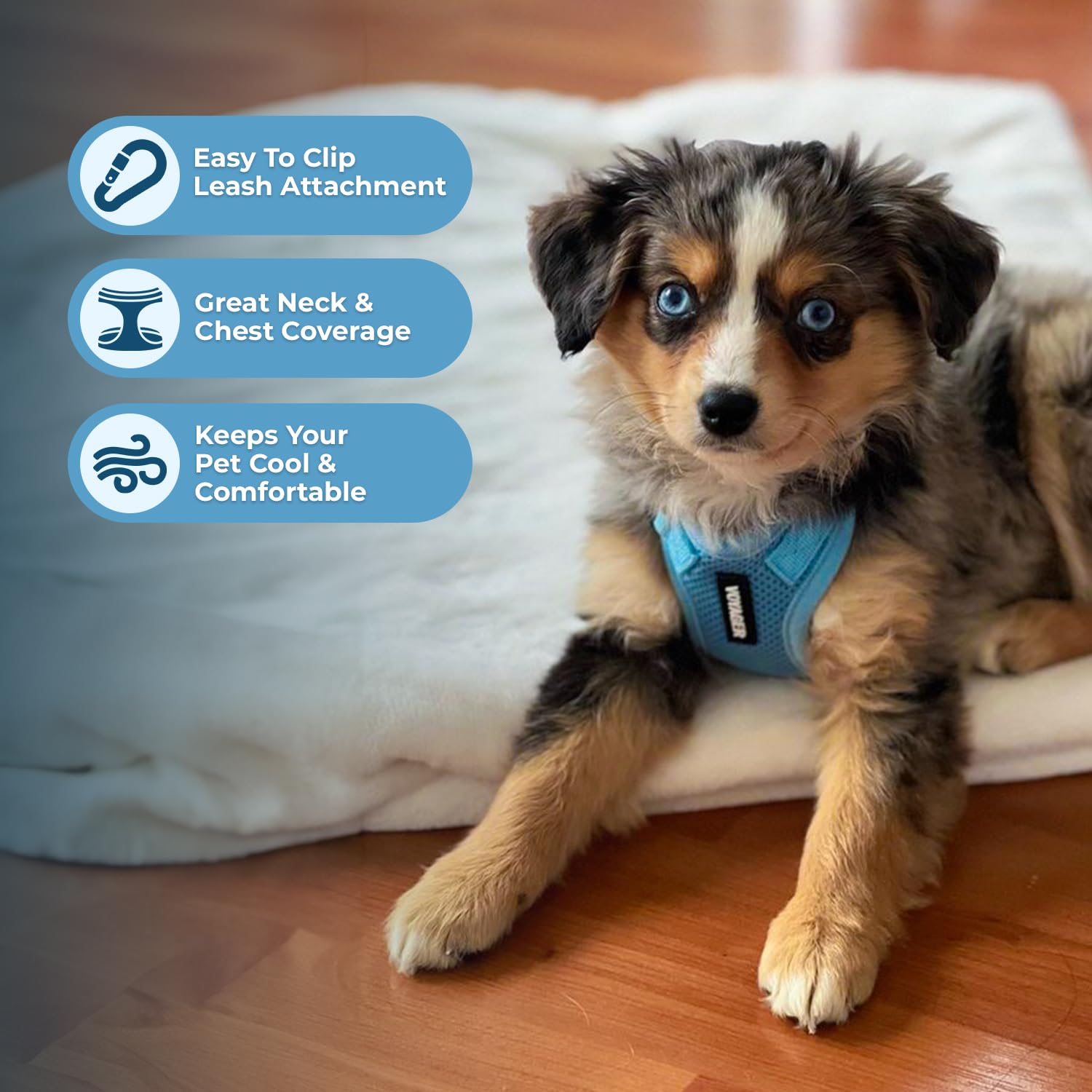 Voyager Step-in Pet Harness - All Weather Mesh, Adjustable Step in Harness for Cats and Dogs by Best Pet Supplies - Baby Blue, L